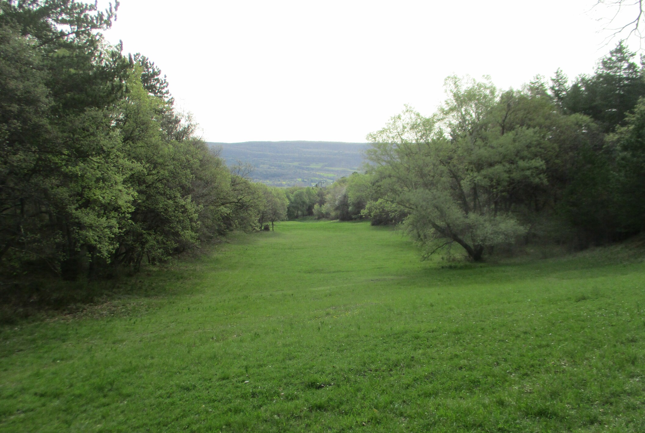 Dans la montée vers Vachères