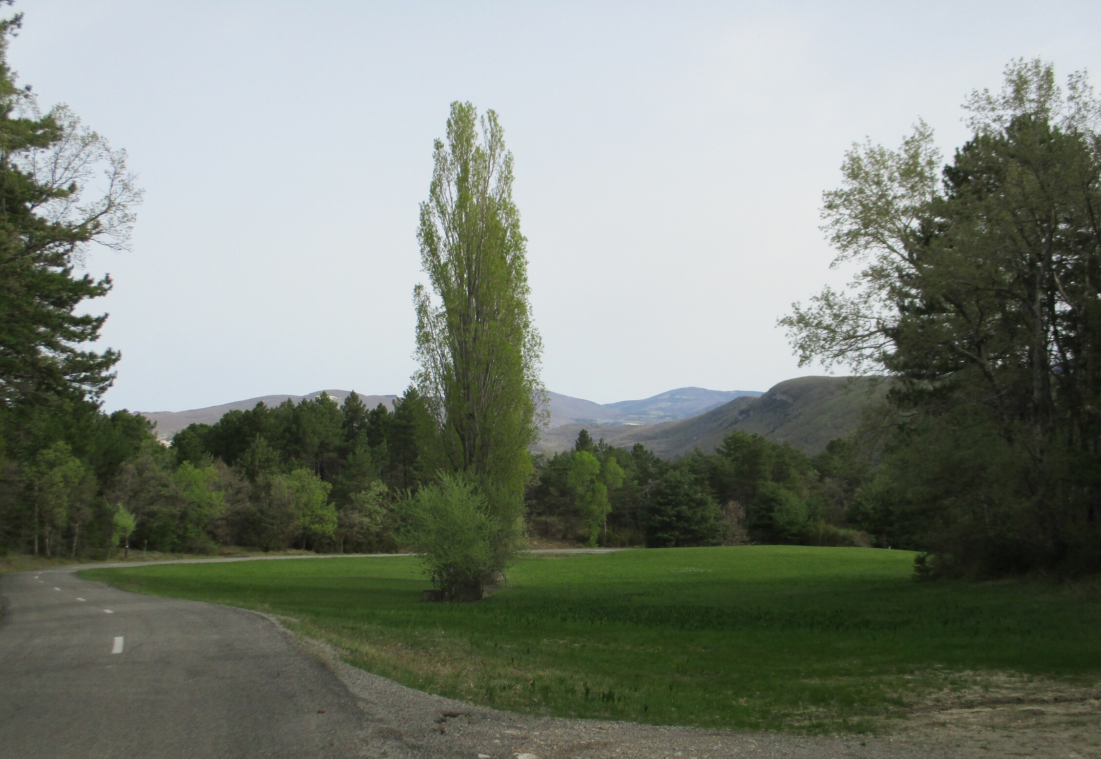 Les monts d'Albion.