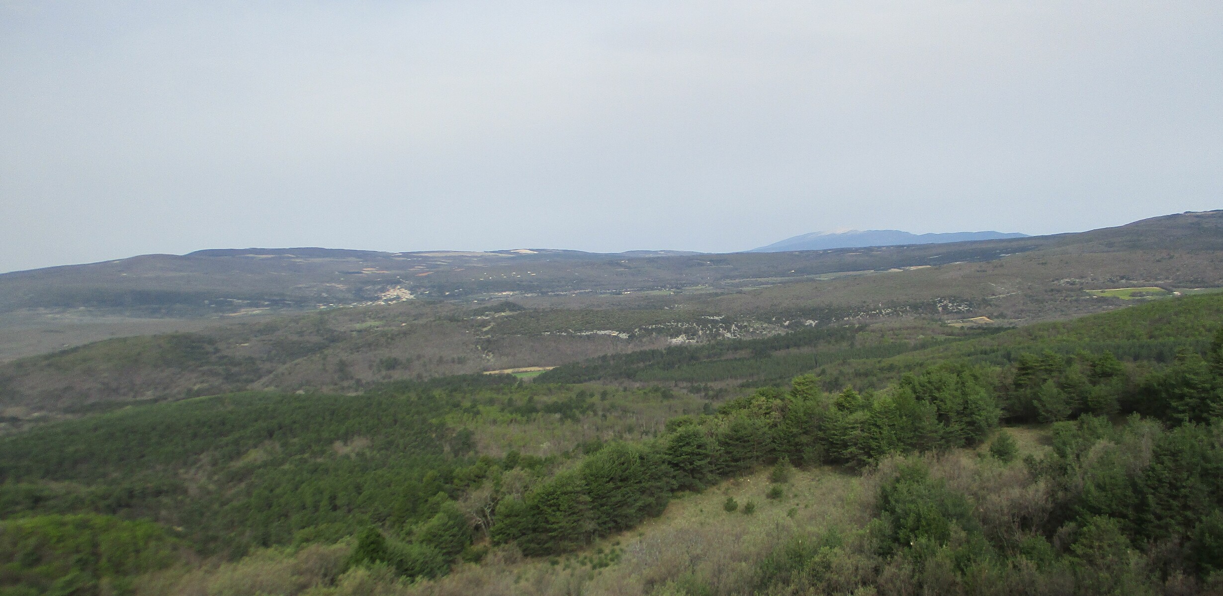 Dans le lointain, le Ventoux