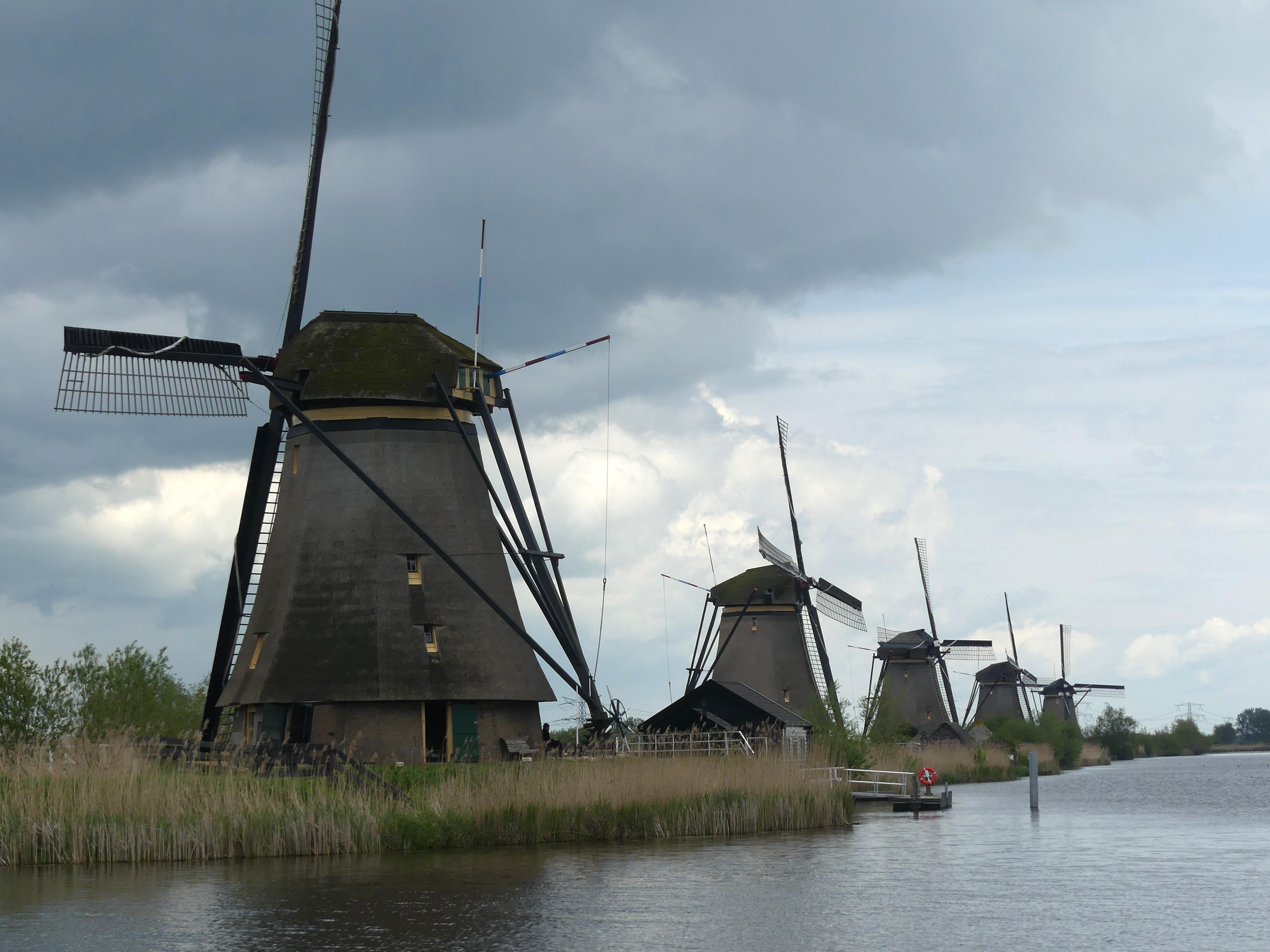 P1000447.JPG