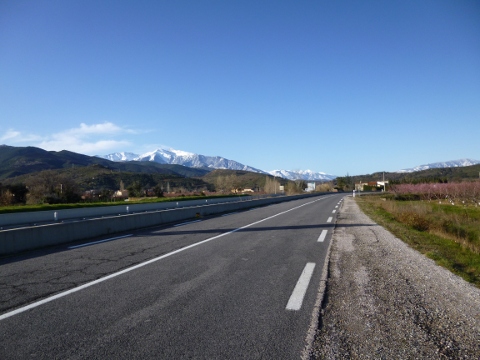 Vue sur le Massif du Canigou - Les pêchers sont en fleurs depuis plus de 15j