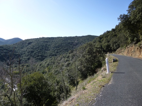 Les Fenouillèdes