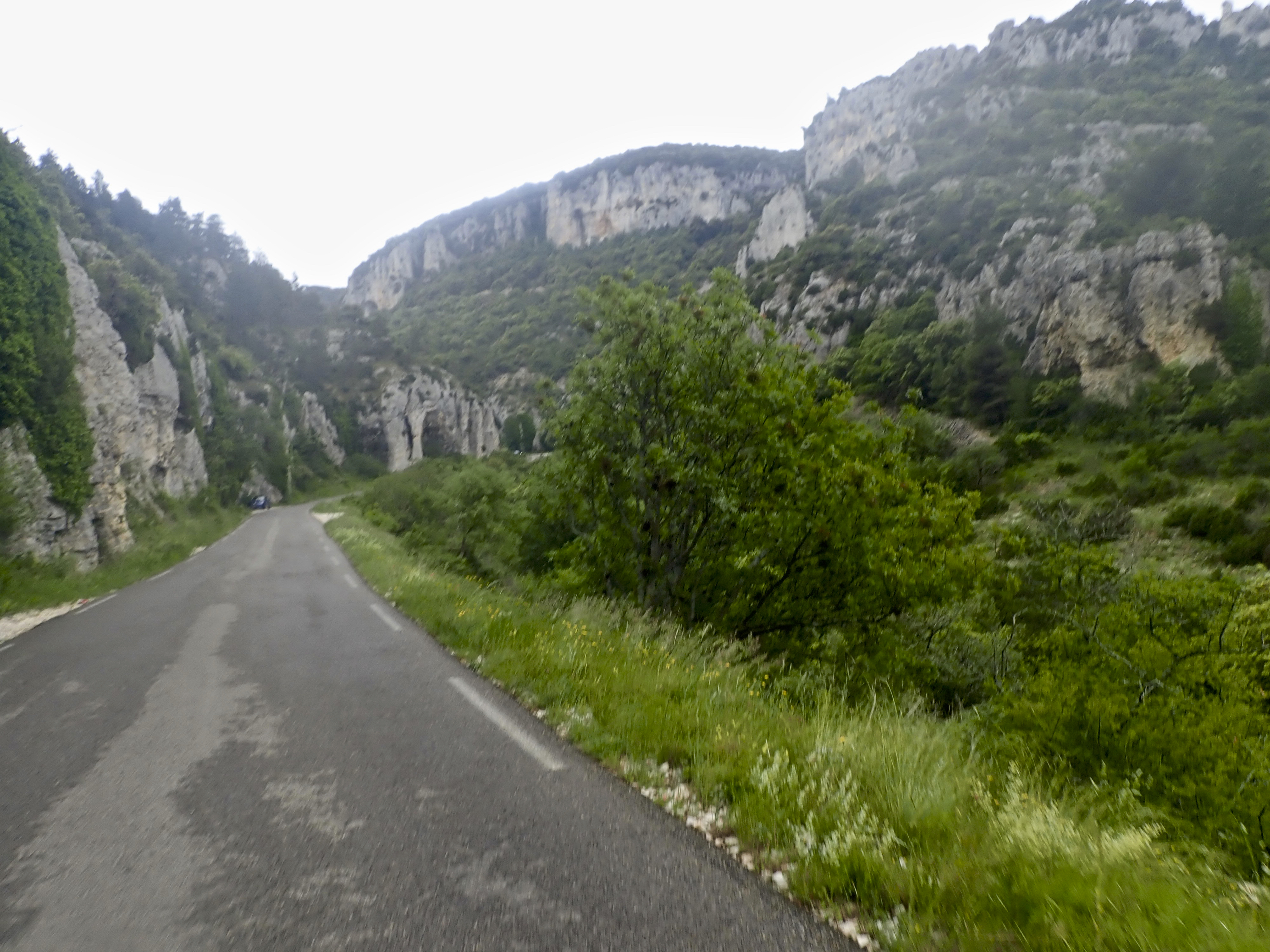 D177 vers Senanques.jpg