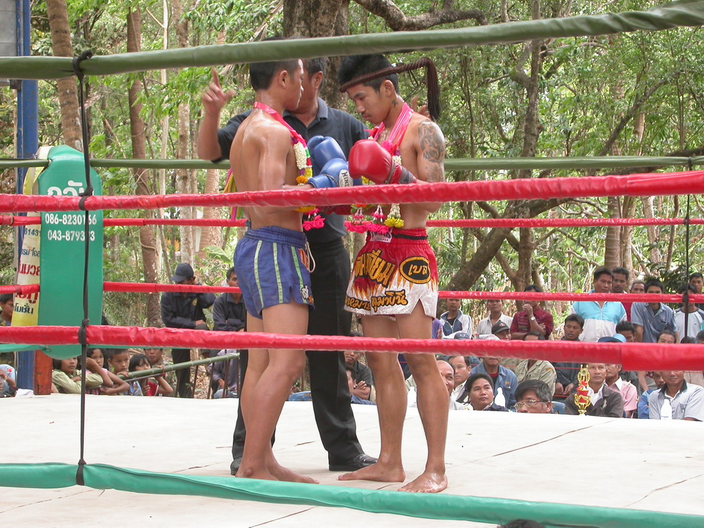 DSCN0679_campagne_issan_boxe_thai.jpg
