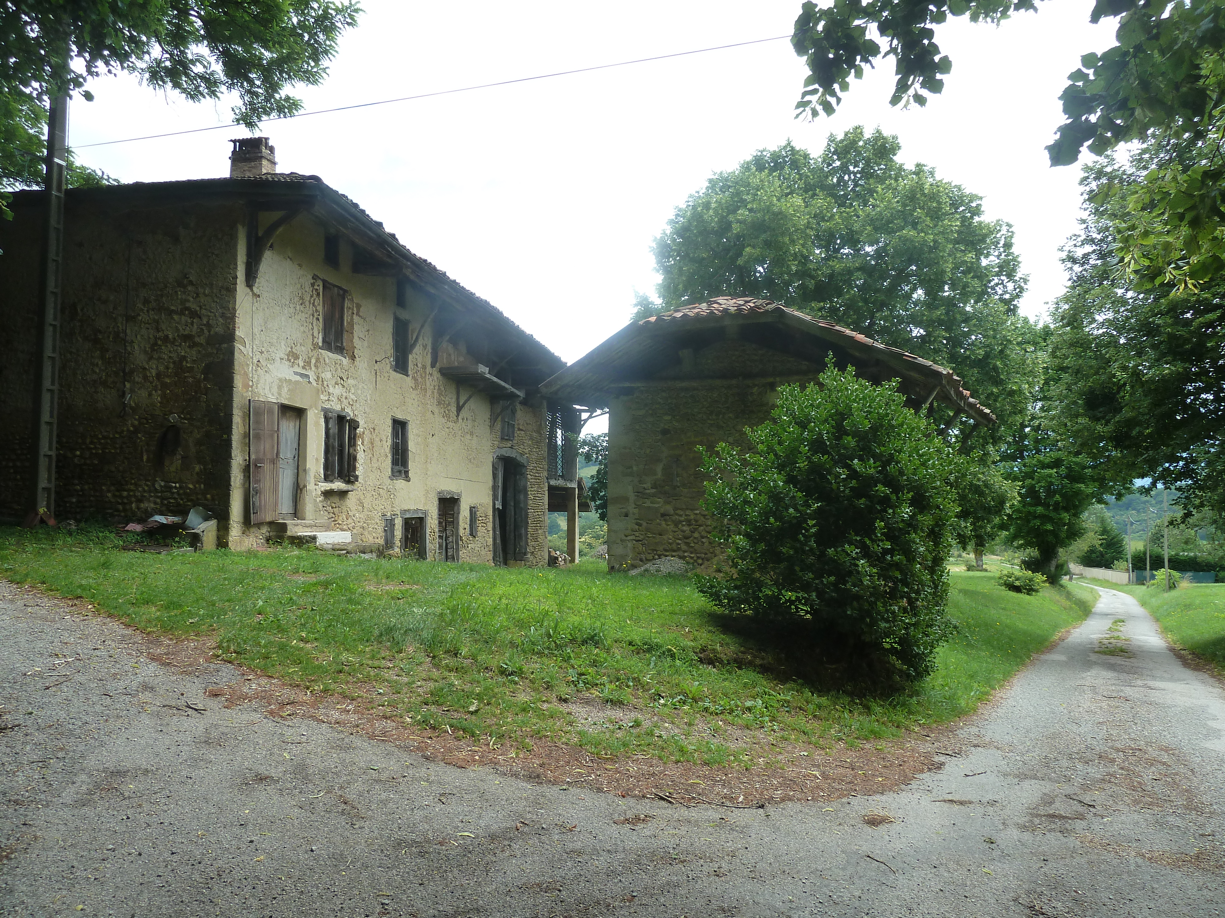 P1130445.JPG