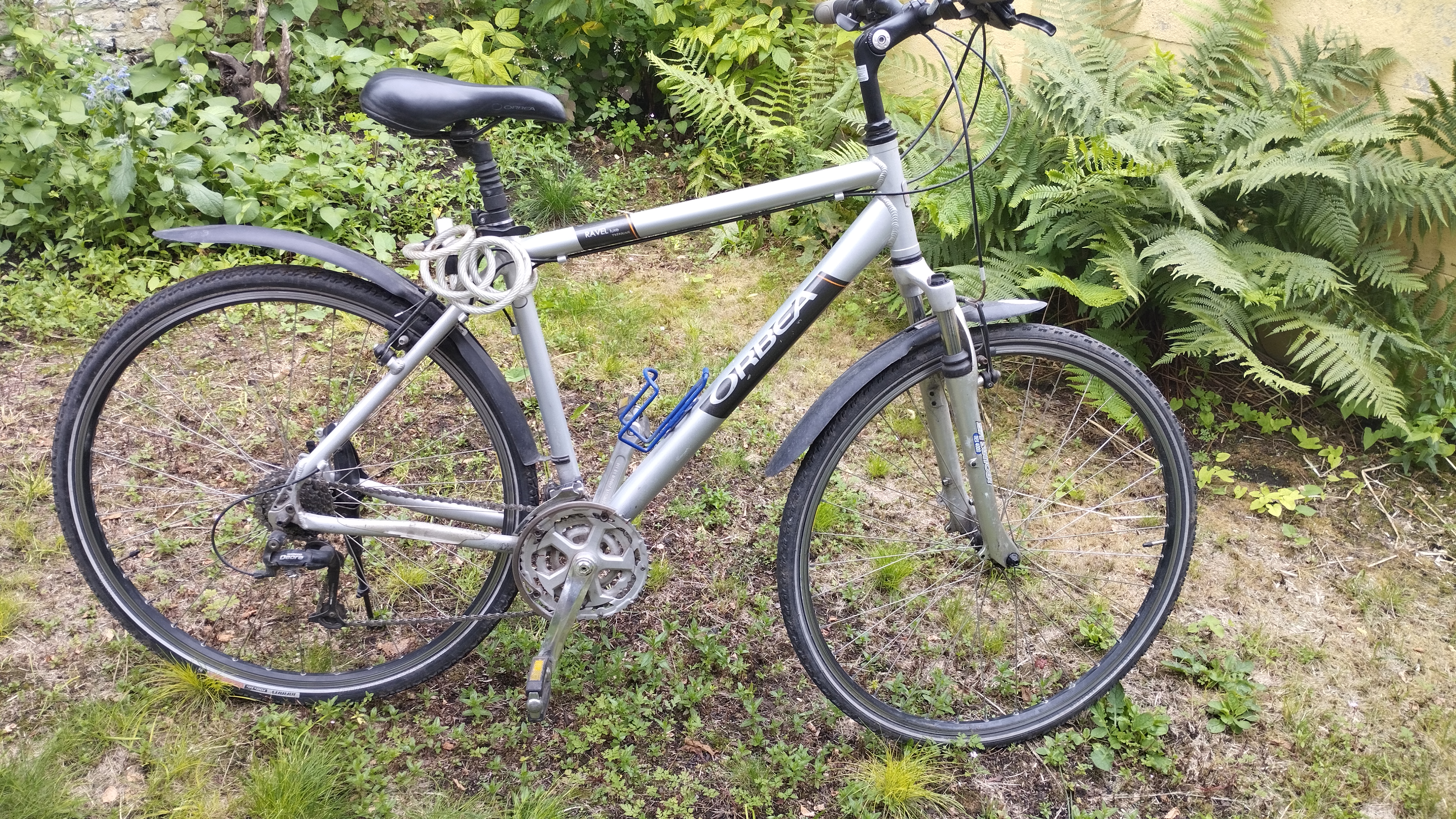 orbea.jpg