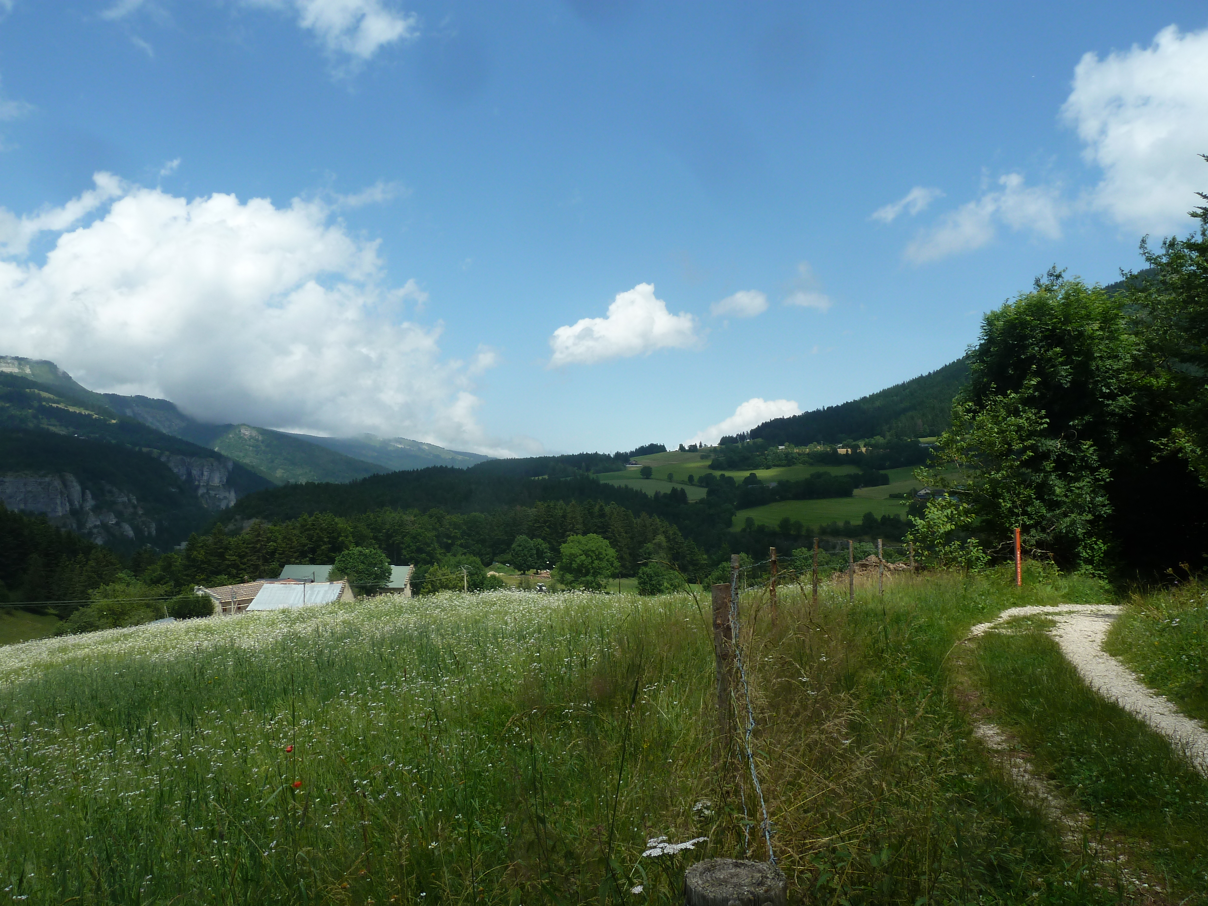 P1130482.JPG