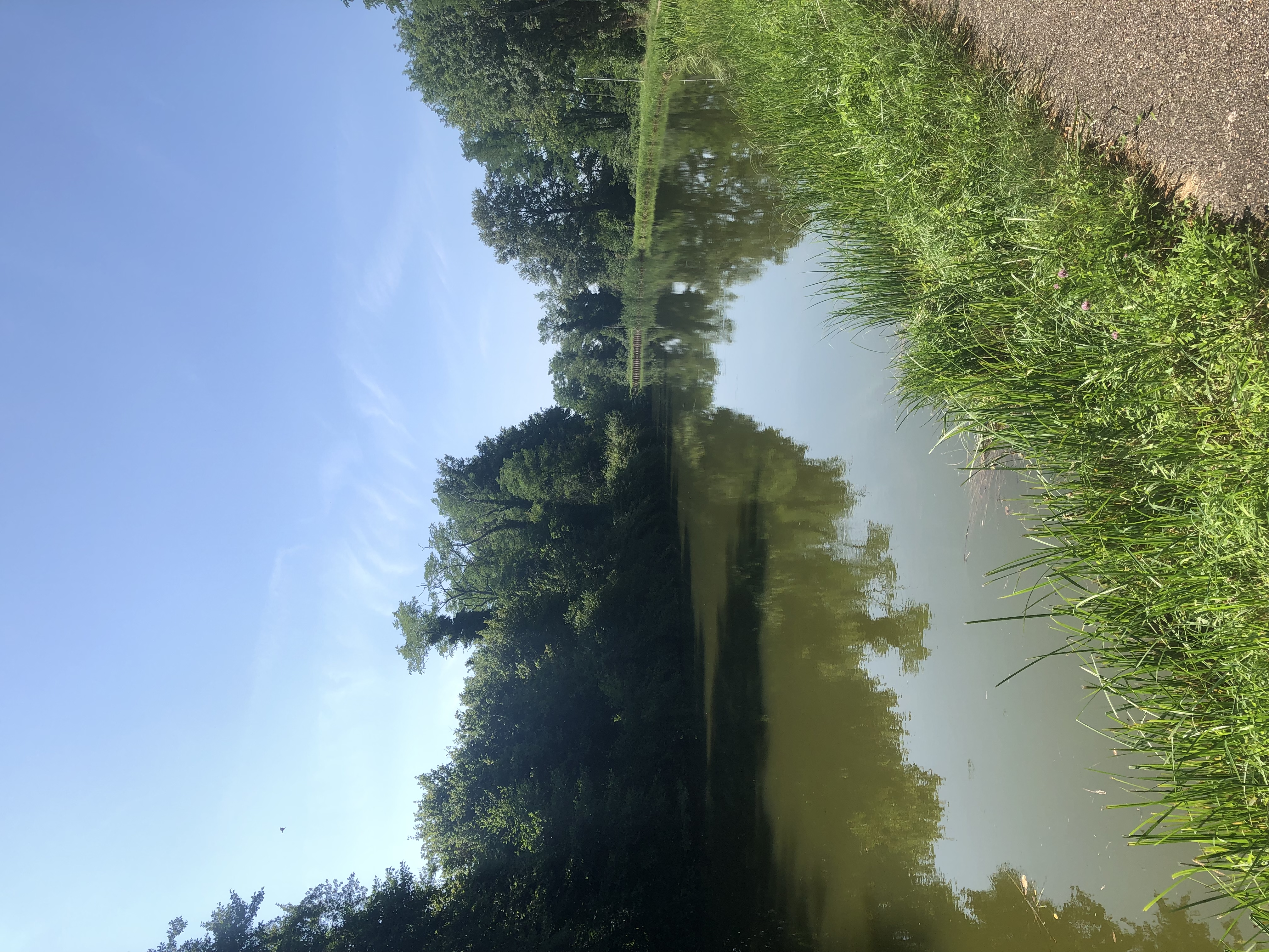 81C887CF-F4B7-45C8-B65F-81D57315B69C.jpeg