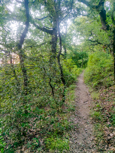 02-chemin acces chateau.jpg