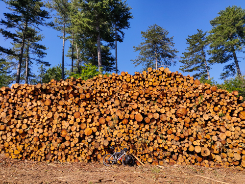 09-concours du gros tas de bois.jpg