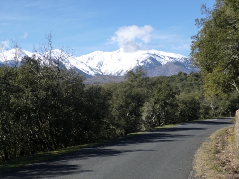 Au dessus du Col de Fourtou à 650m