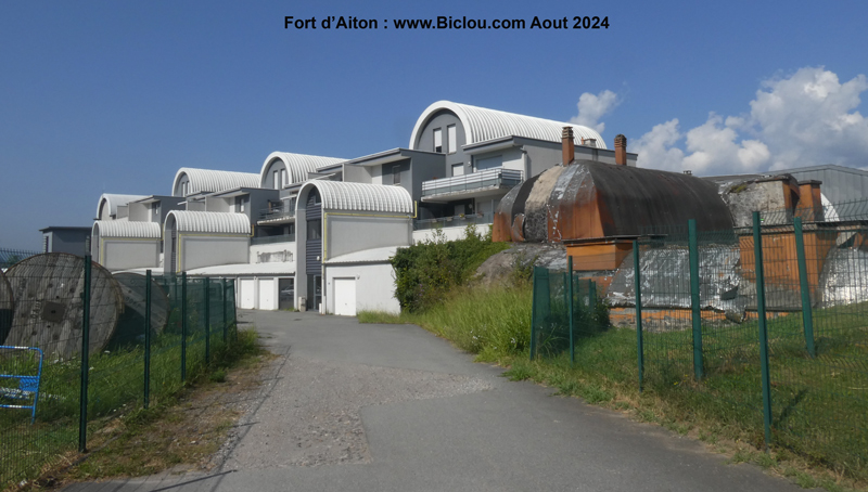 1158.jpg