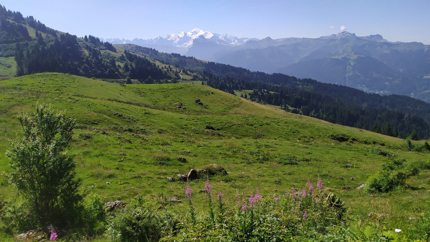Mont Blanc de Joux Plane.jpg