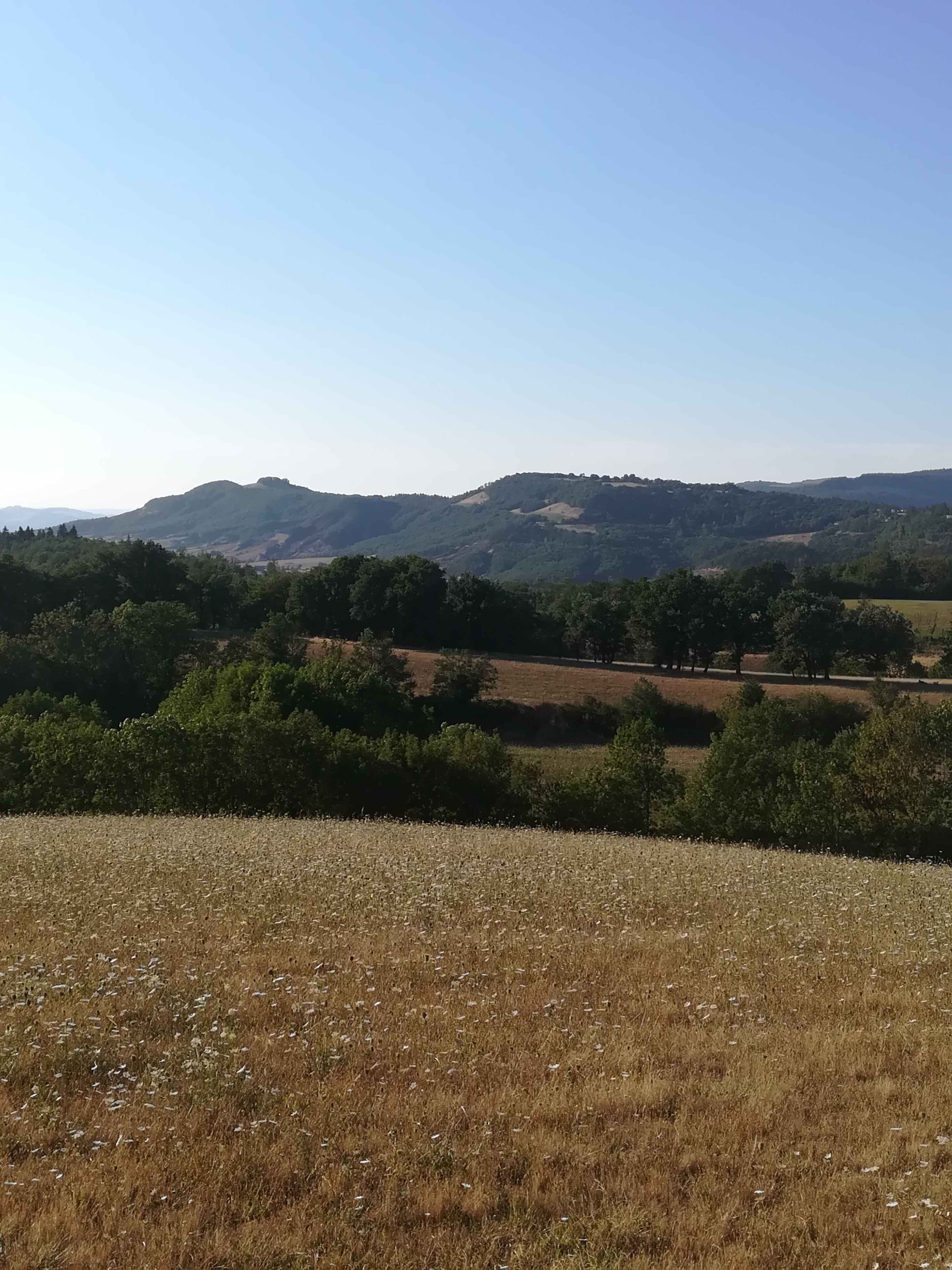 La serre du Ramel