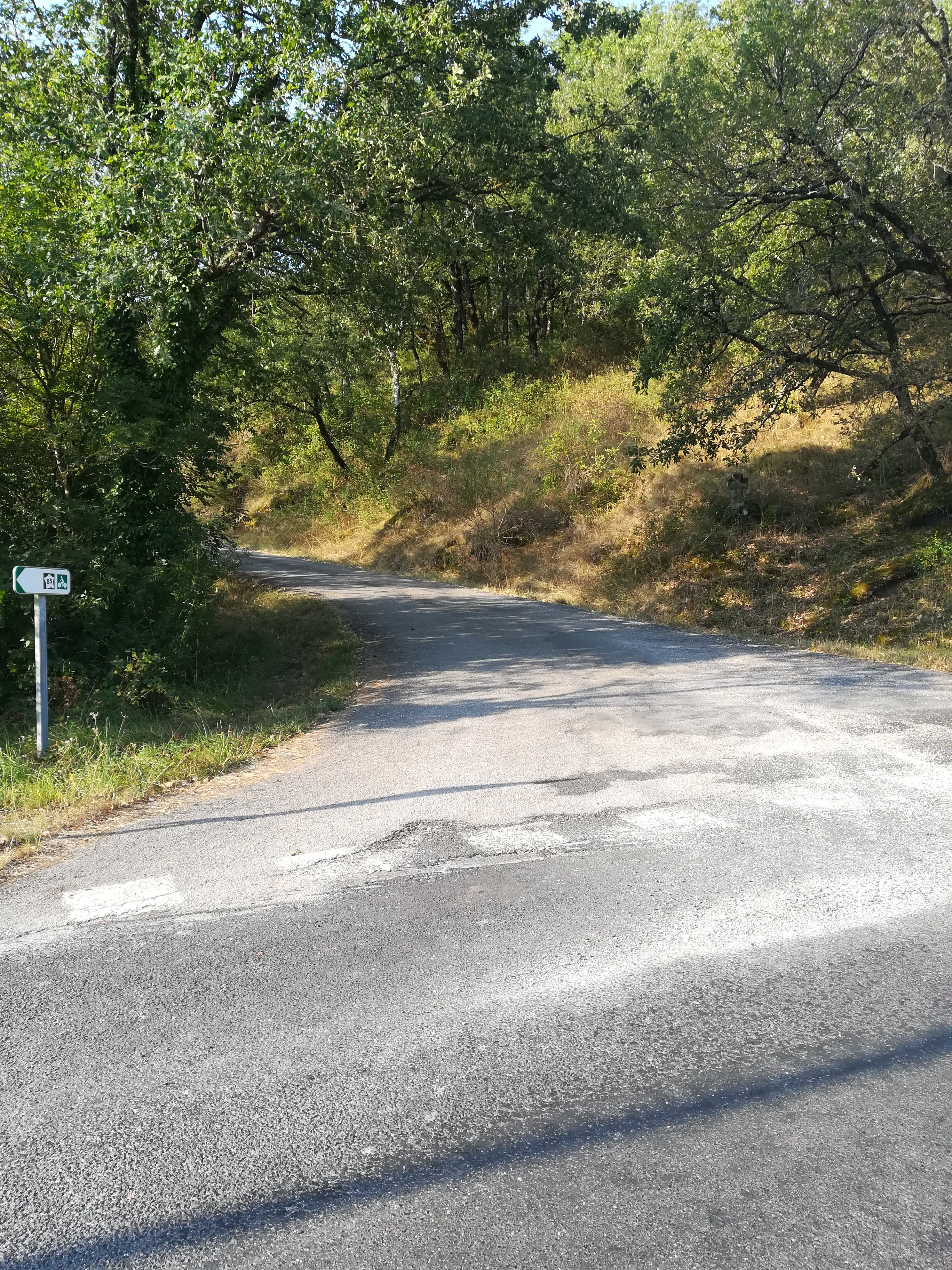 On quite la V85 pour une route de chèvres