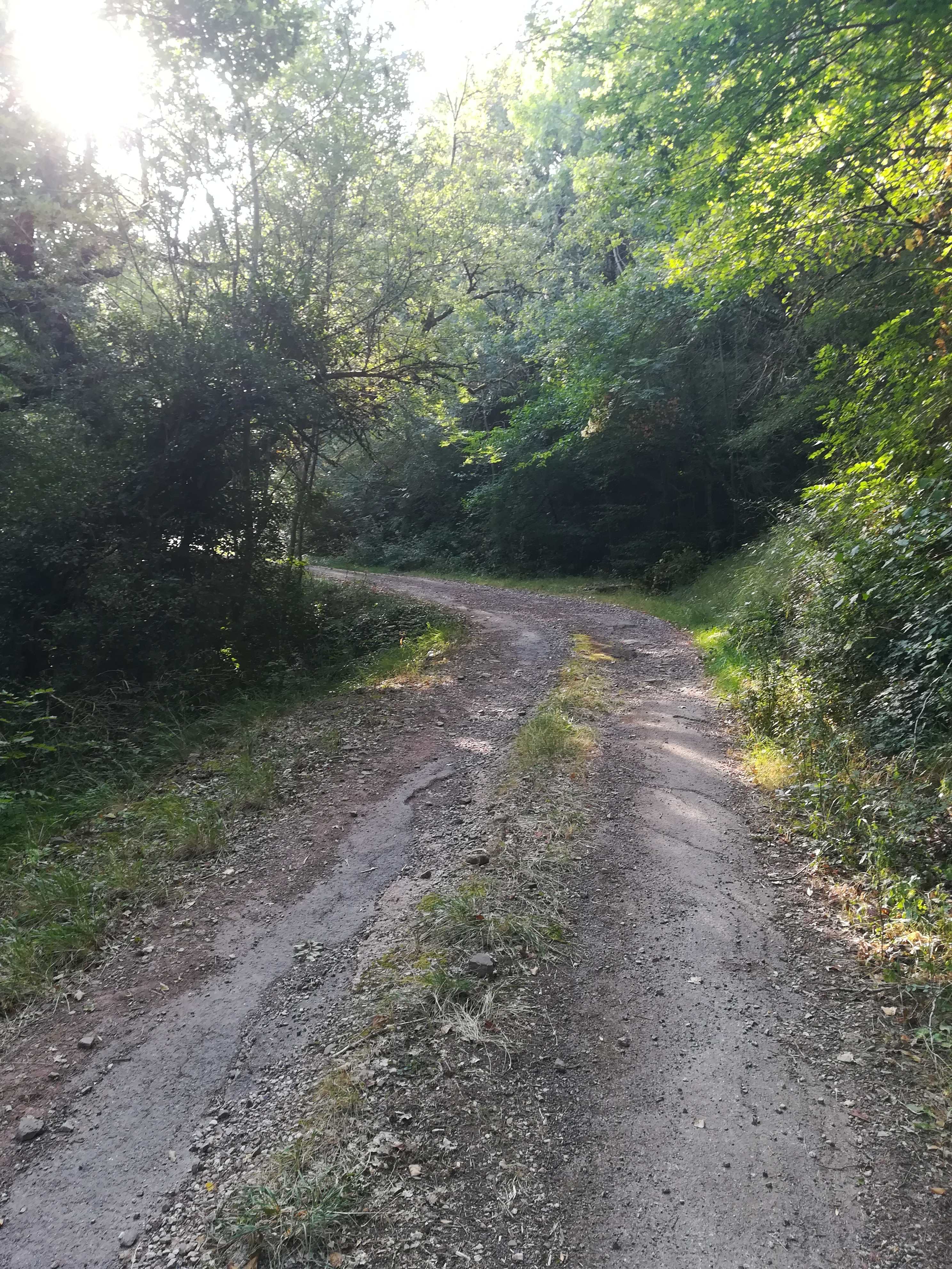 Au bout de 2km on quite le goudron.