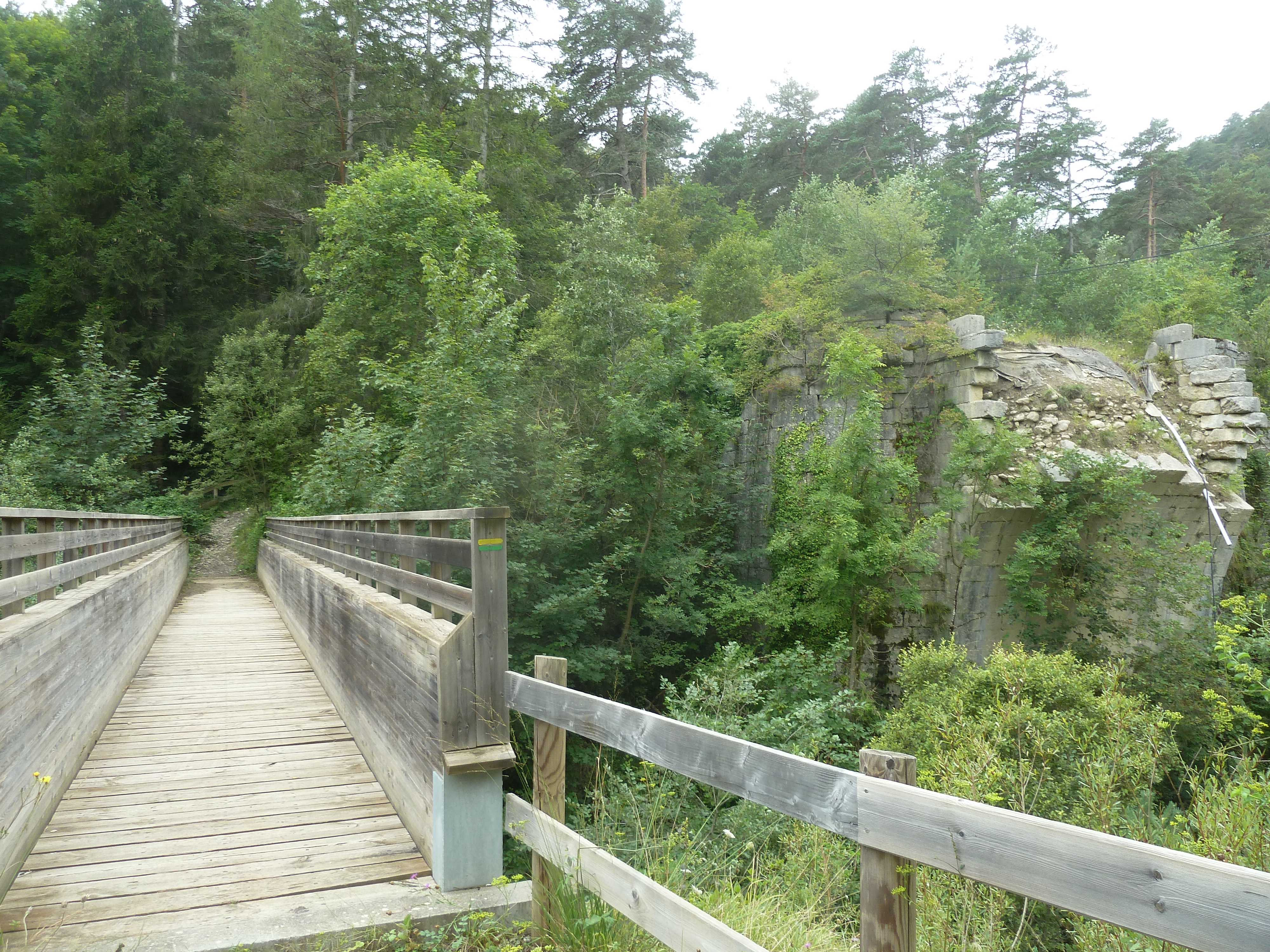 P1130484.JPG