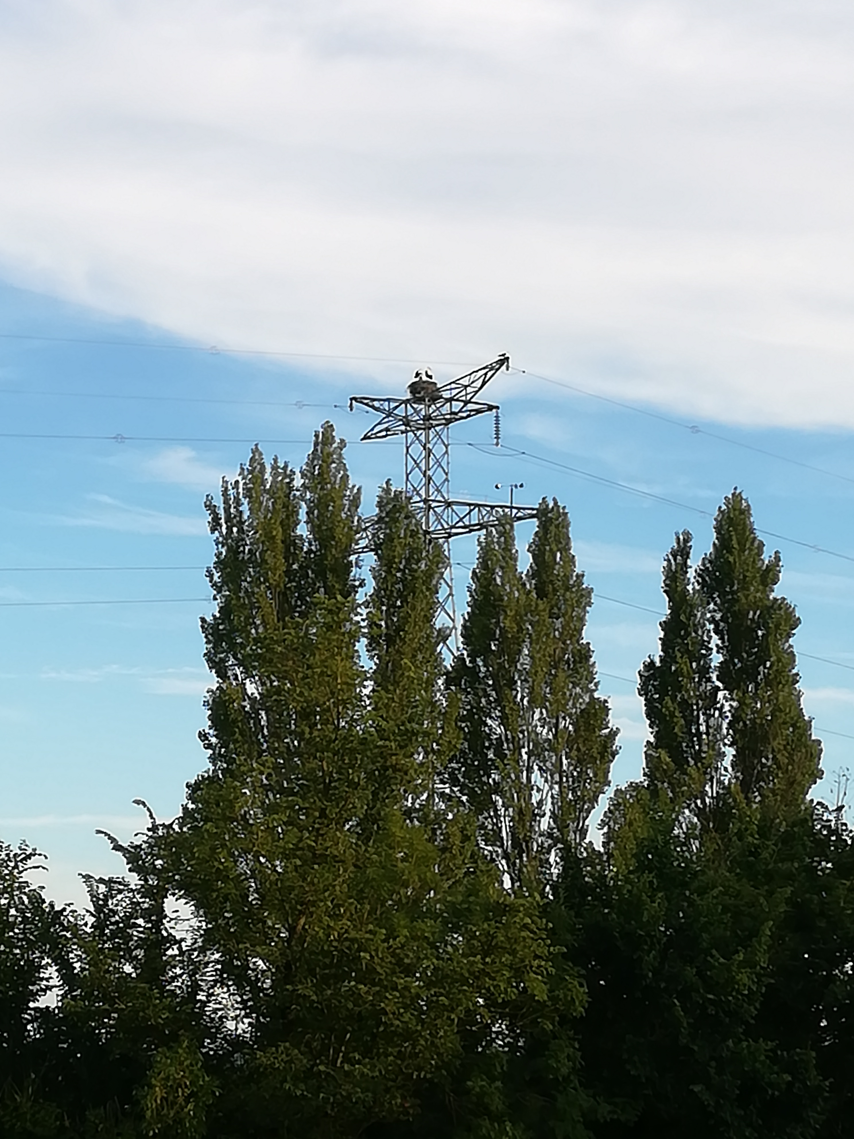 Des occupants plus habituels en Alsace...