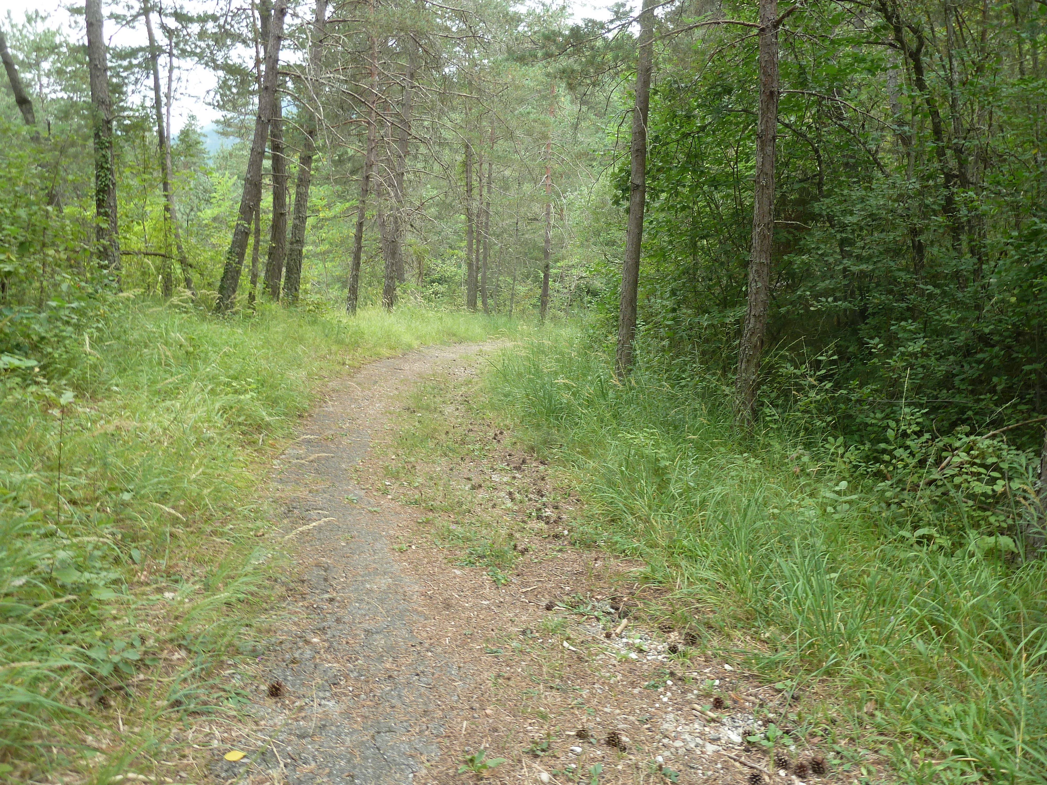 P1130496.JPG