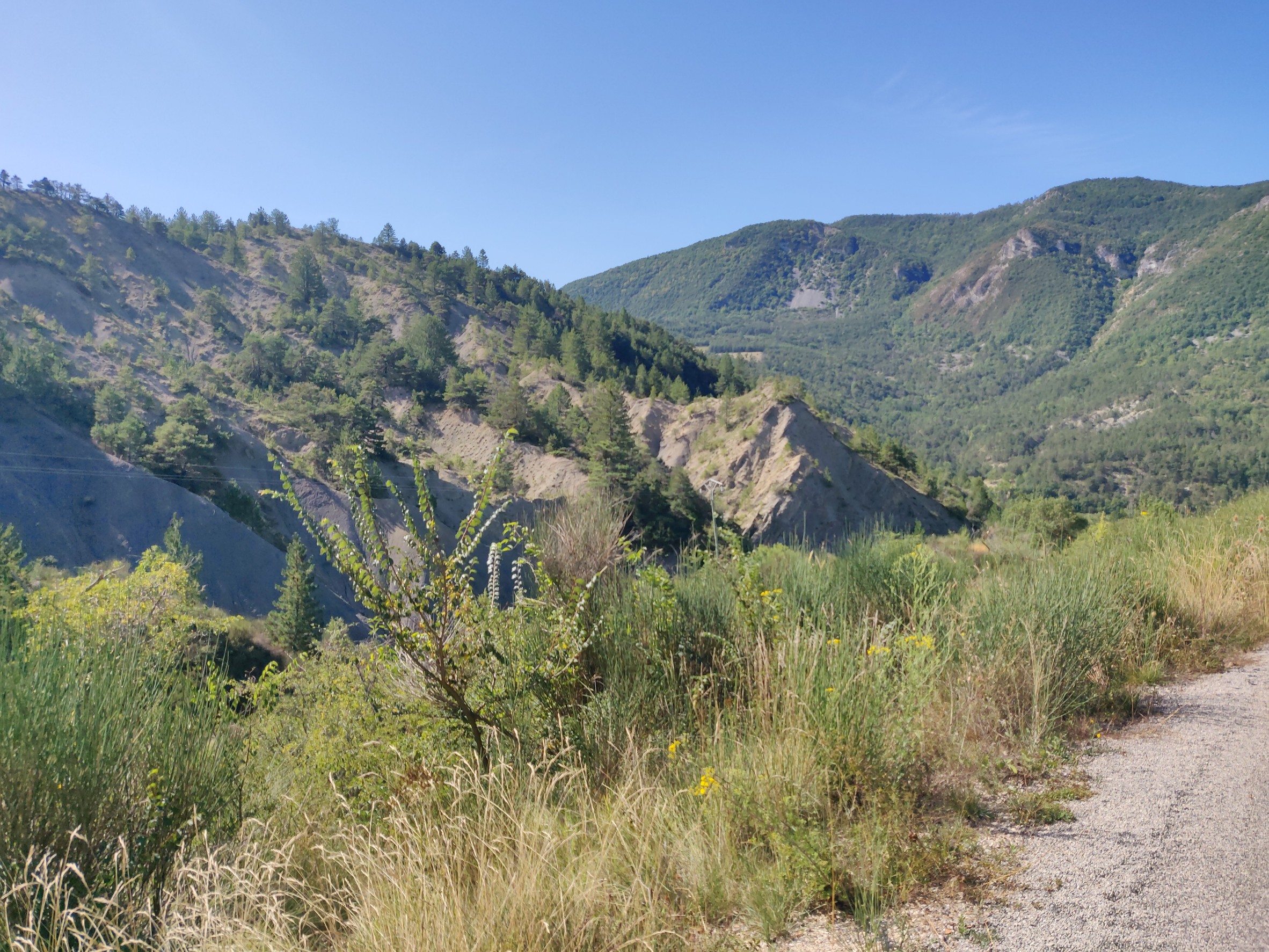 En montant vers le col de la Saulce