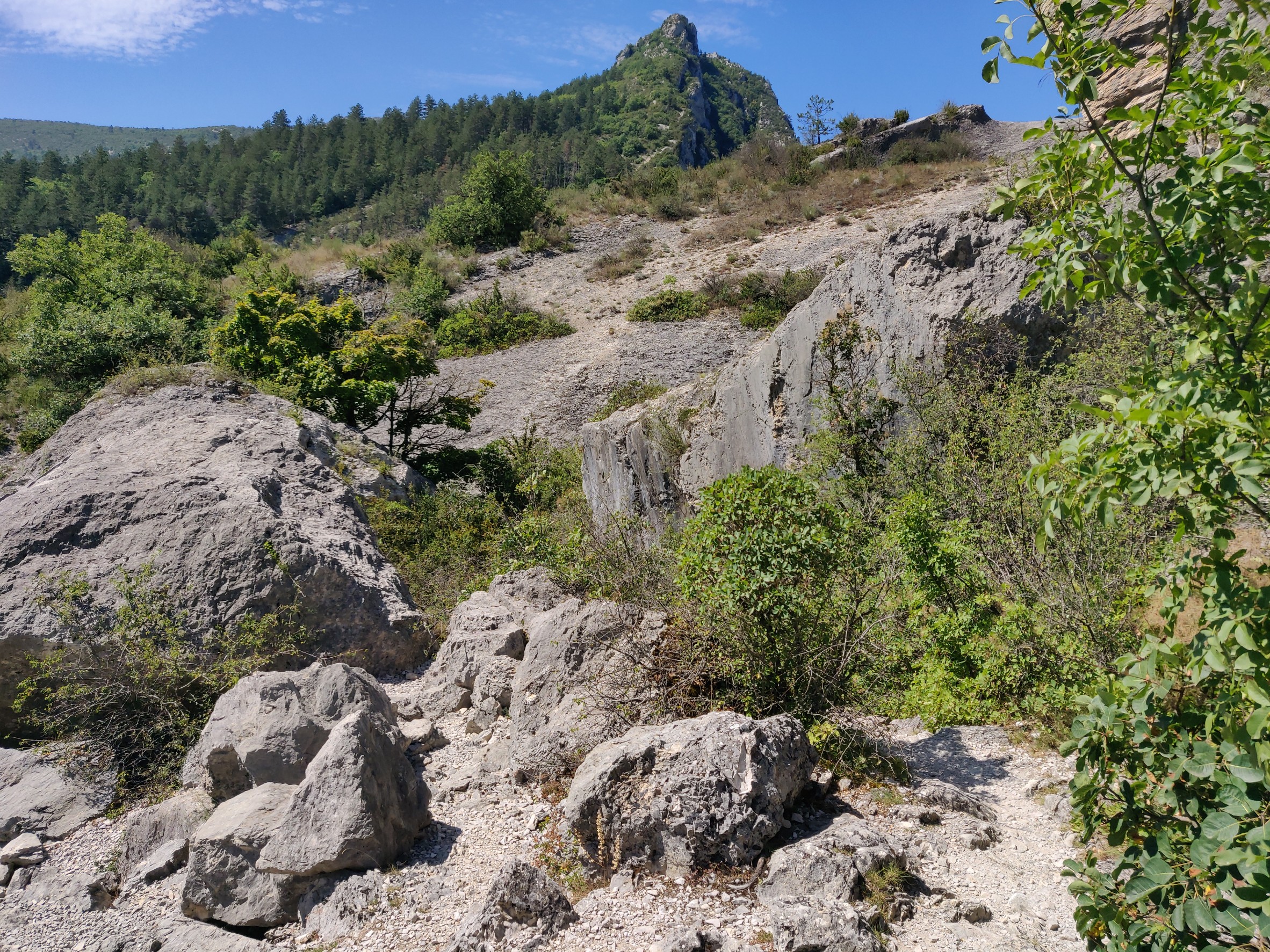 La piste VTT qui traverse le Claps. J'ai marché...