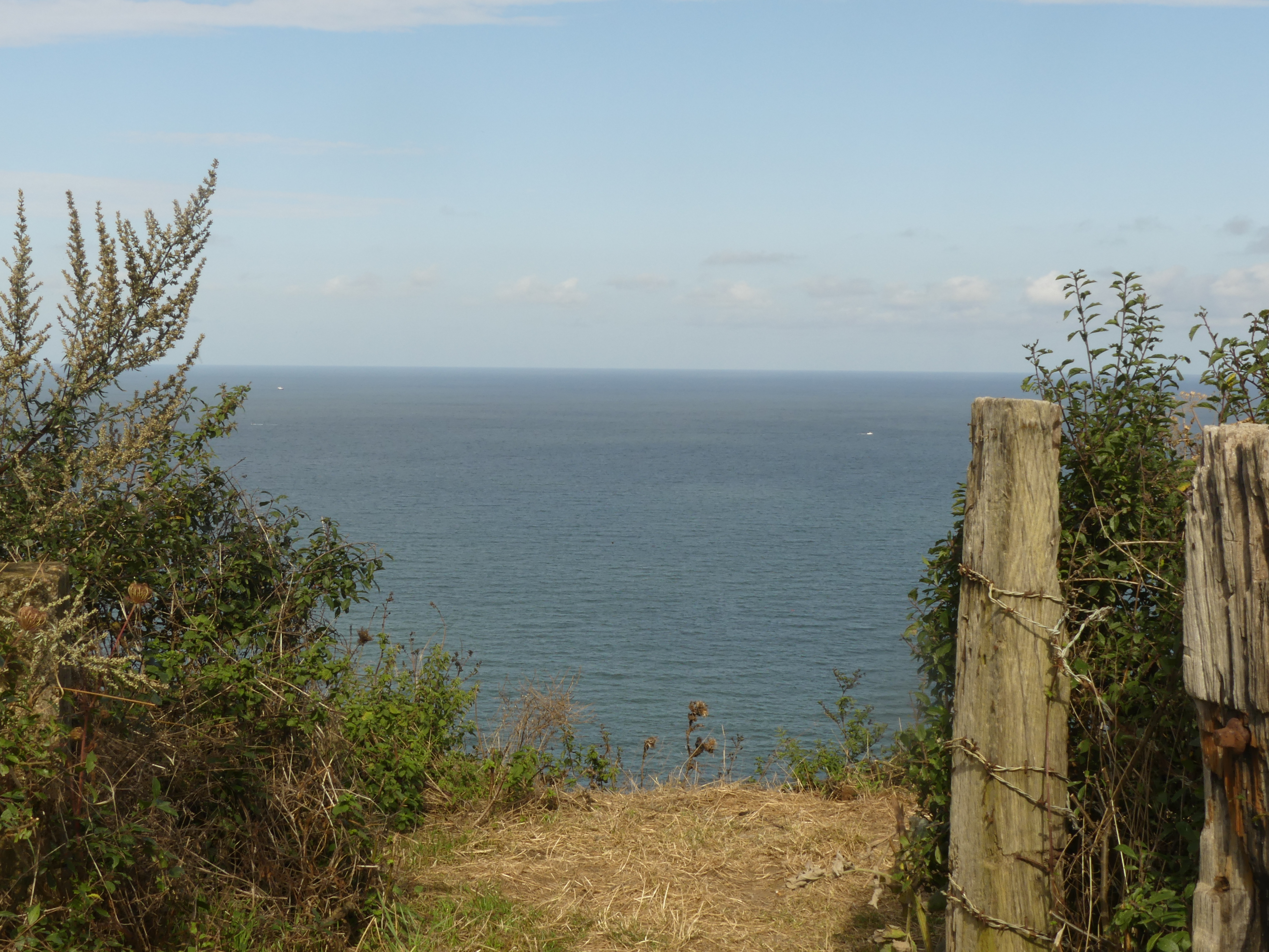 P1010323.JPG