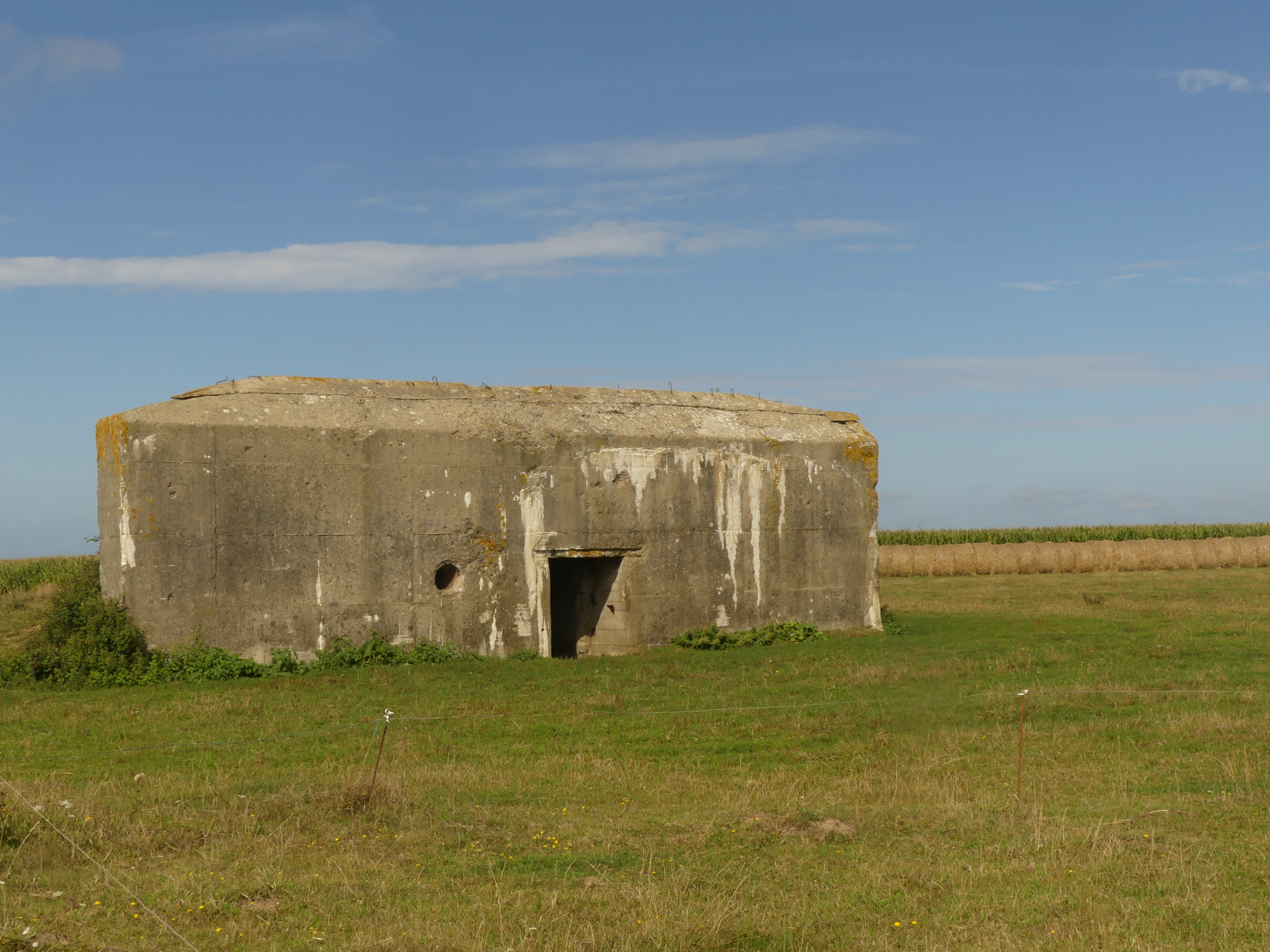 P1010334.JPG