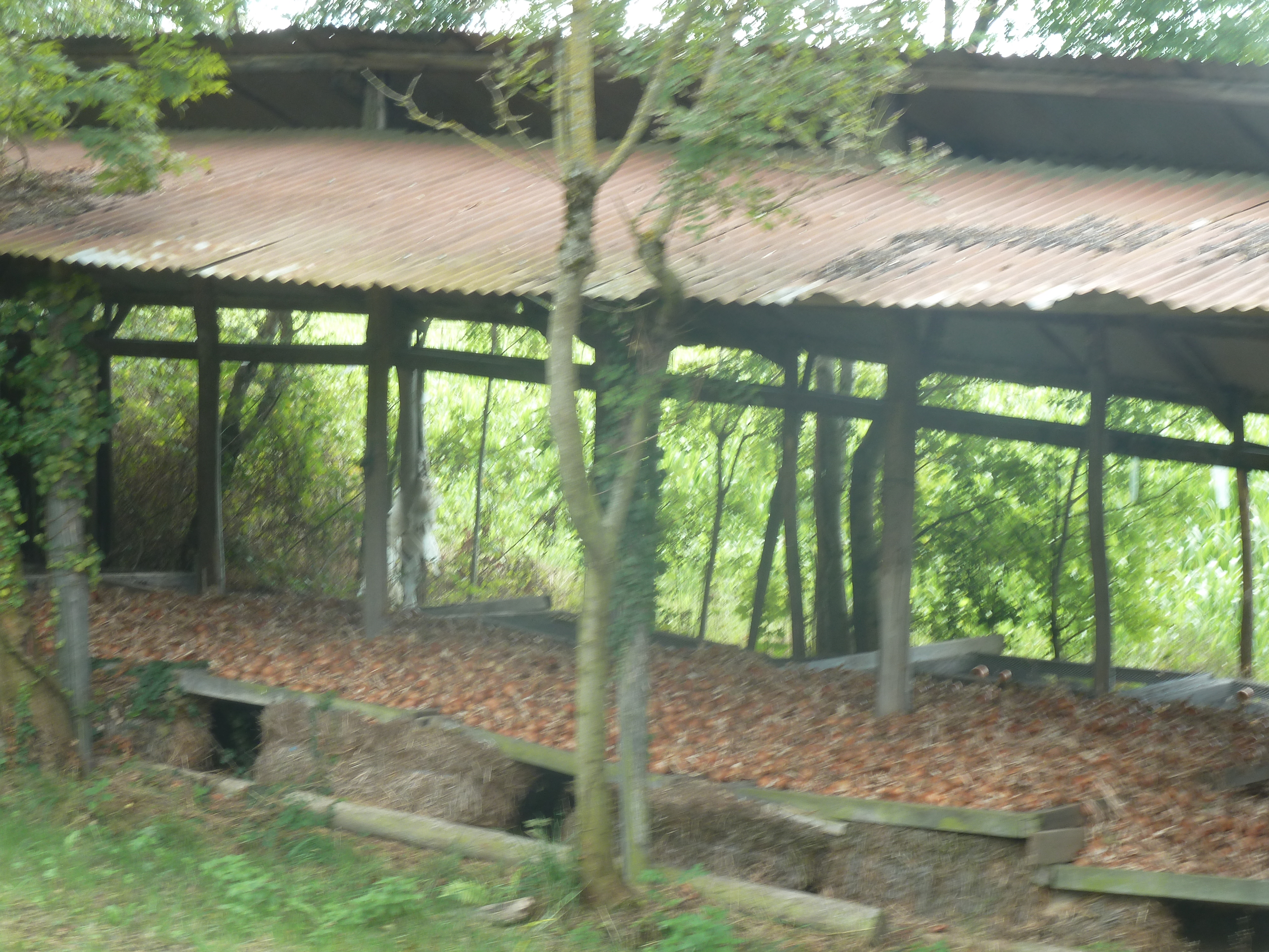 P1130542.JPG