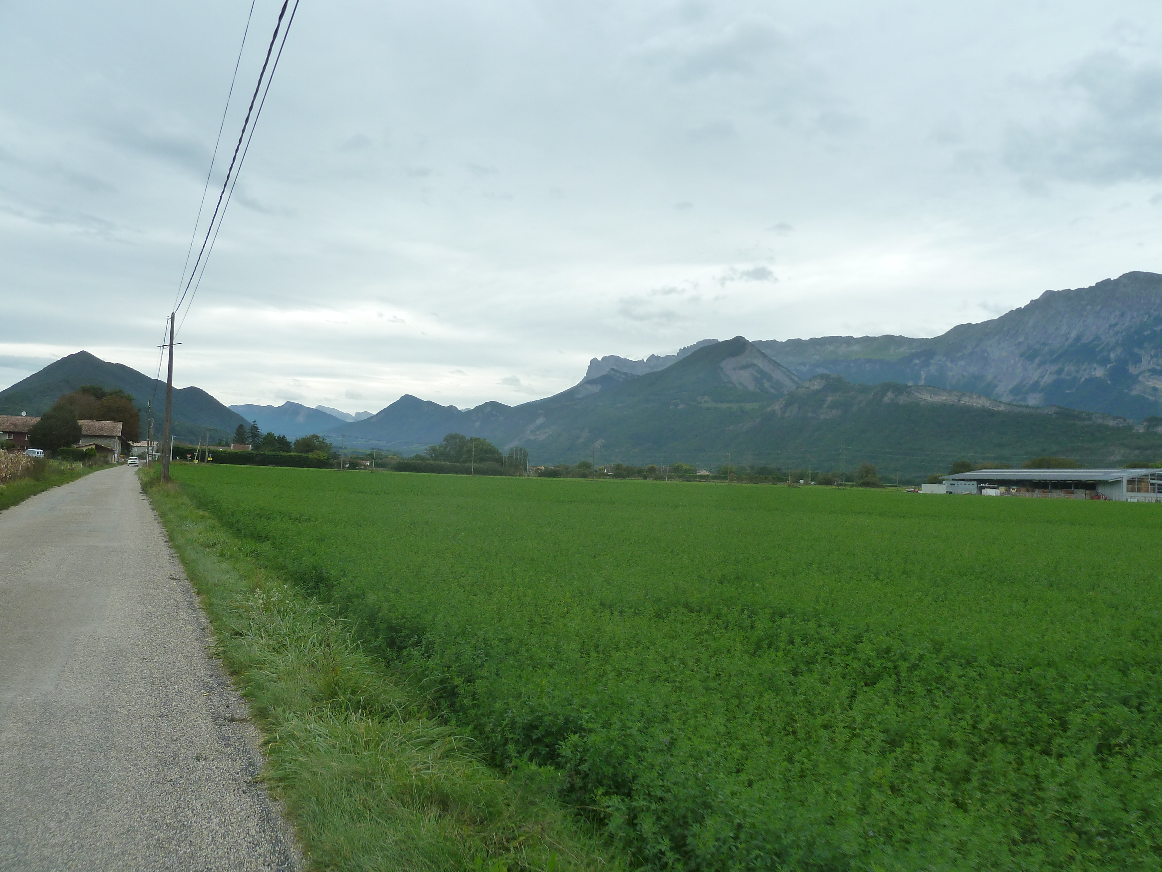 P1130546.JPG