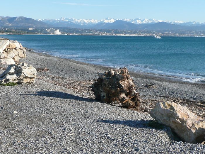 Je quitte Antibes pour me diriger vers Mandelieu, putin que c'est beau !!!