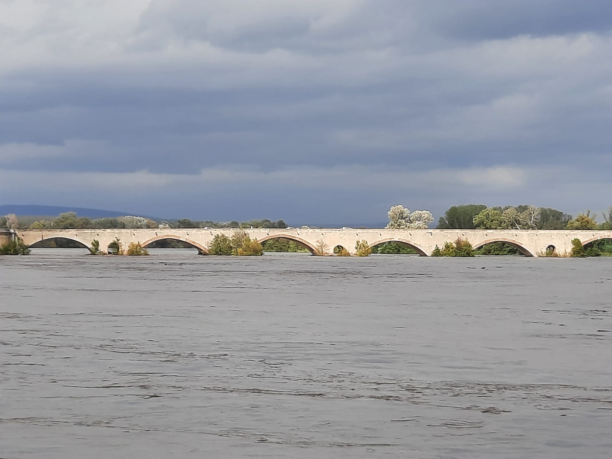 pont-st-esprit.jpg