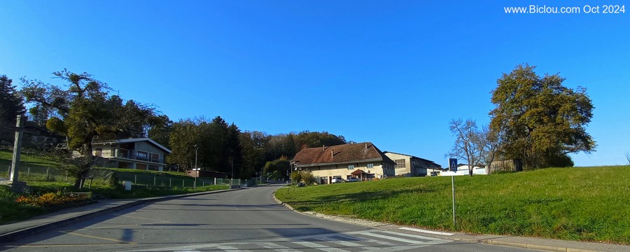 66a.jpg