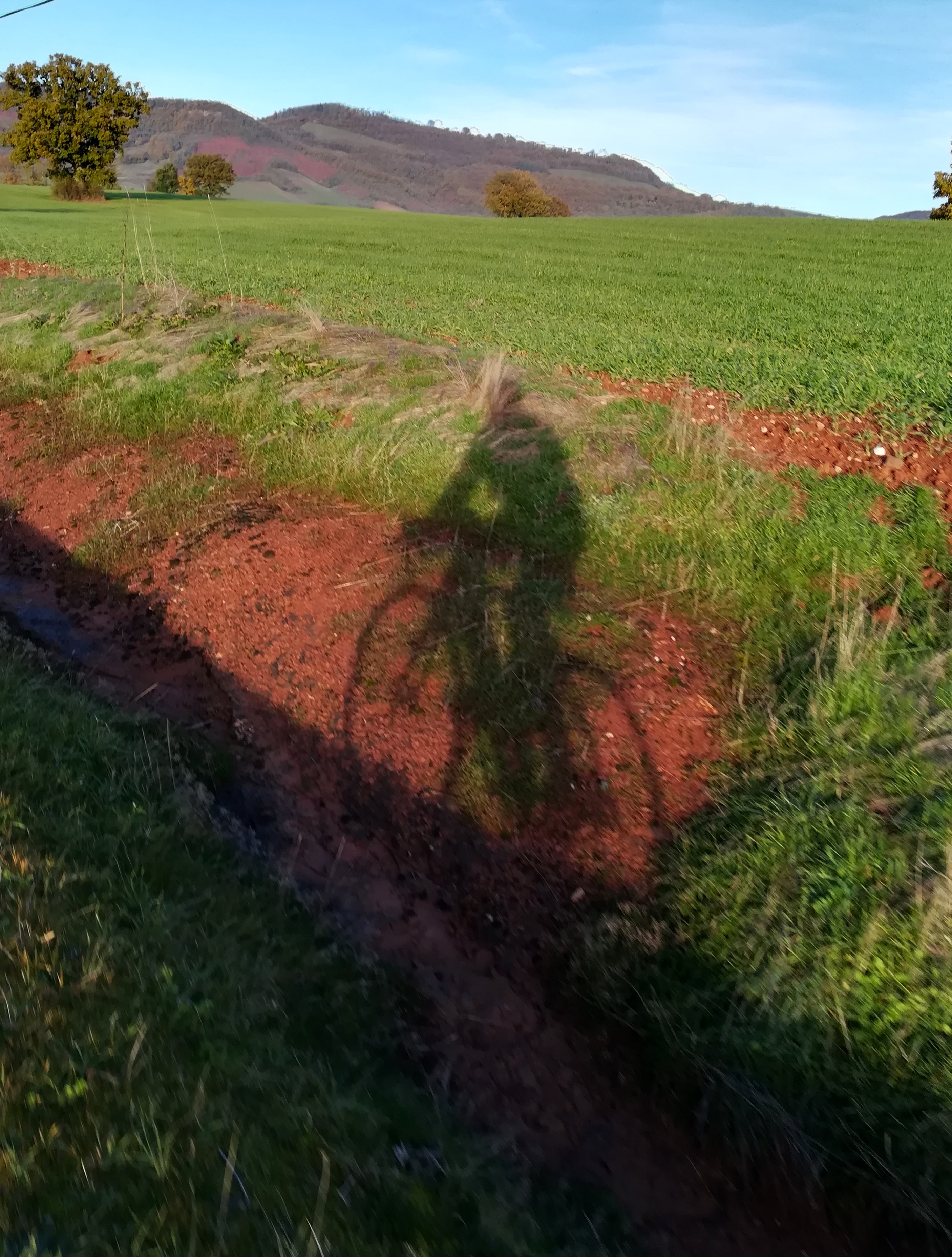 Compagnon de route.