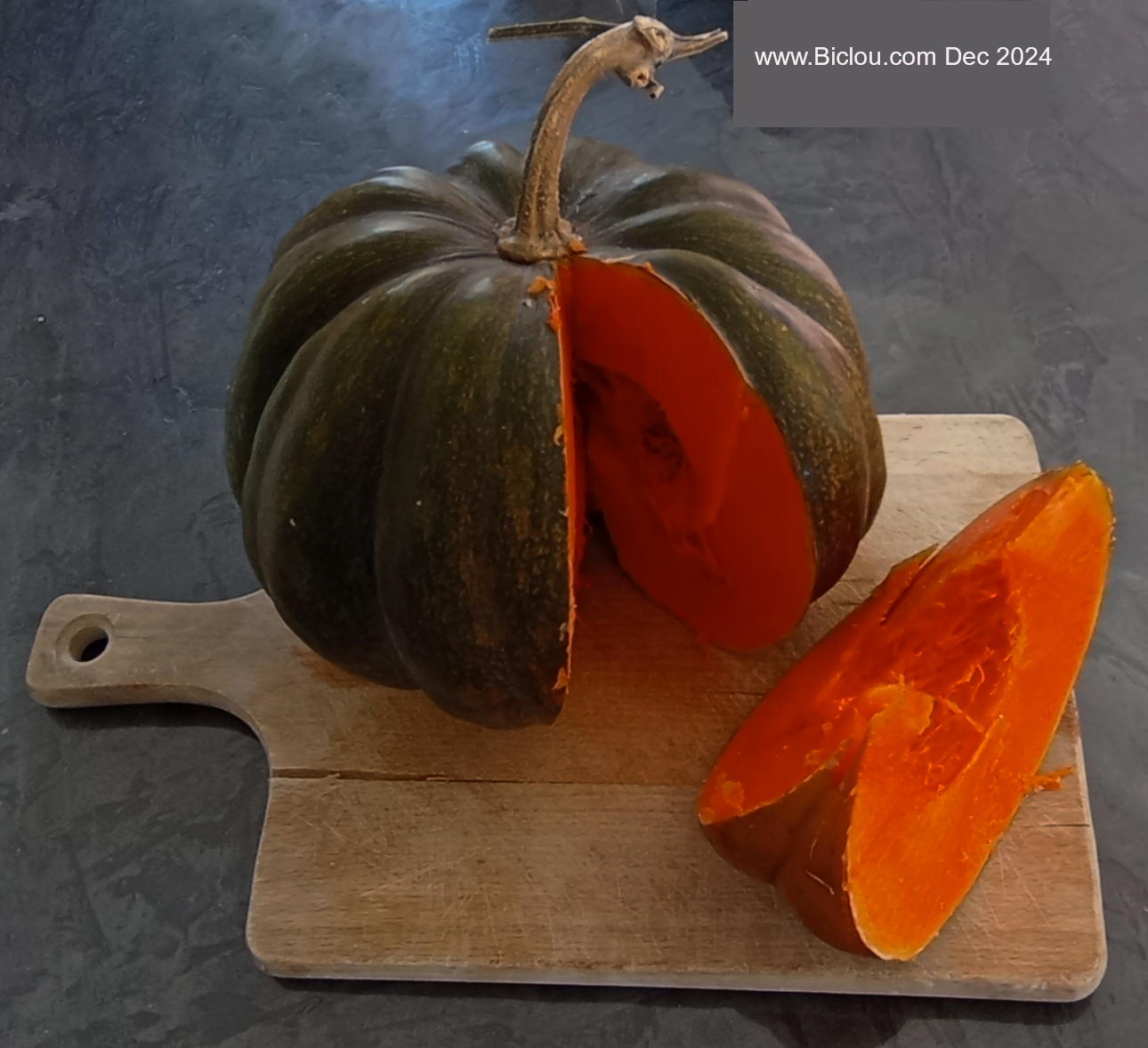courge-2024.jpg
