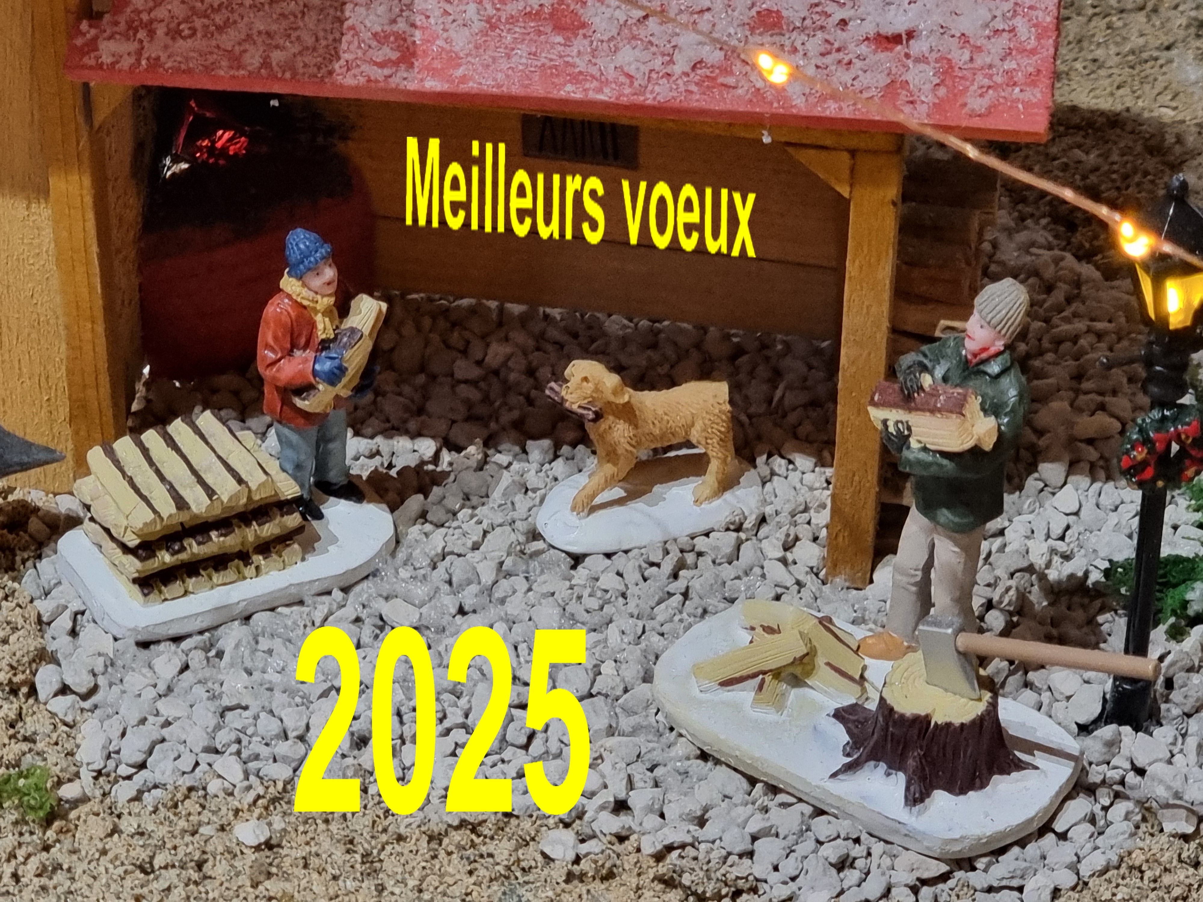voeux 2025.jpg