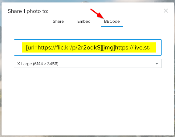 BBCode URL