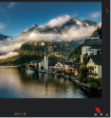 Share button