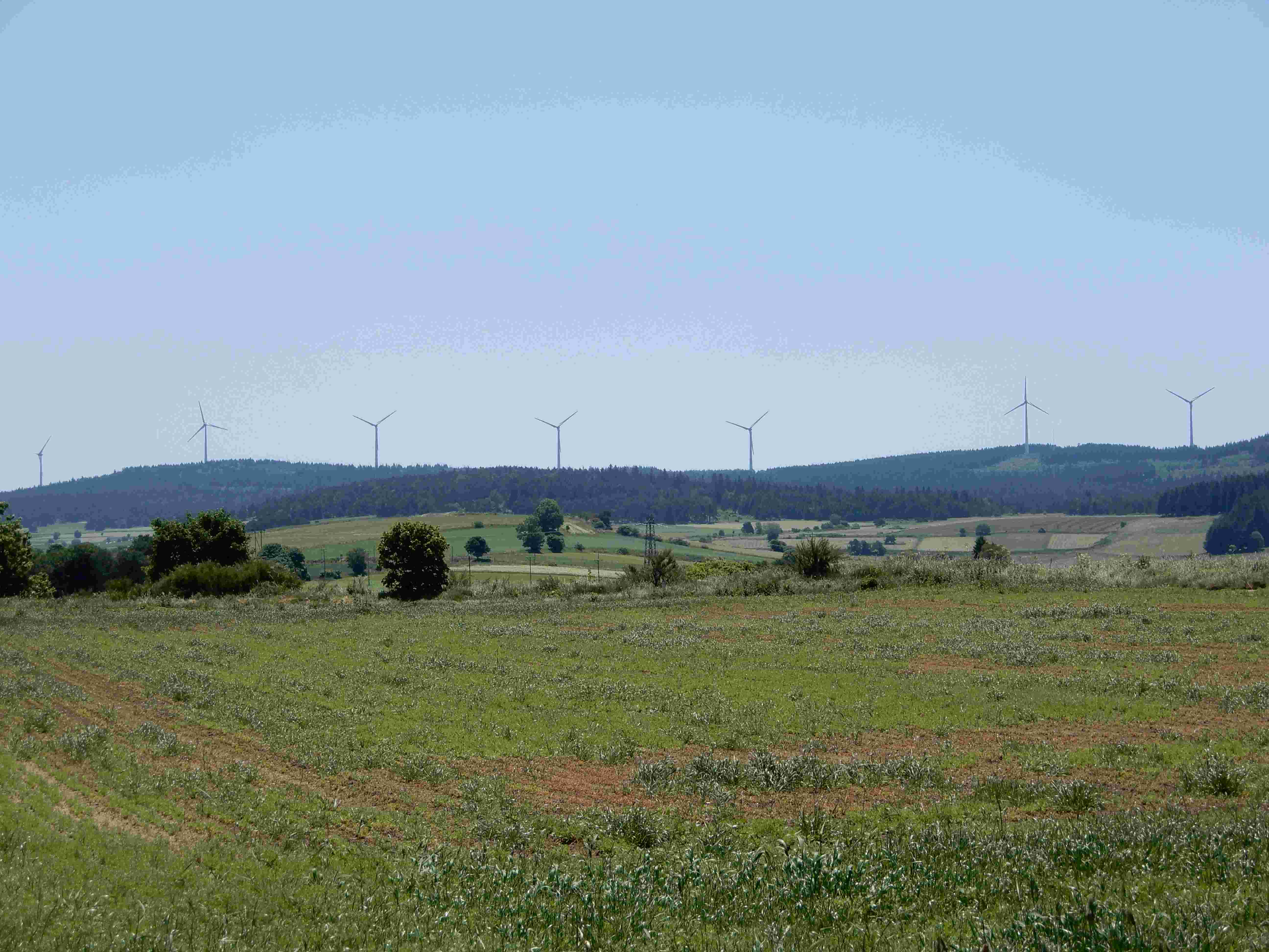 Forêt d'éoliennes