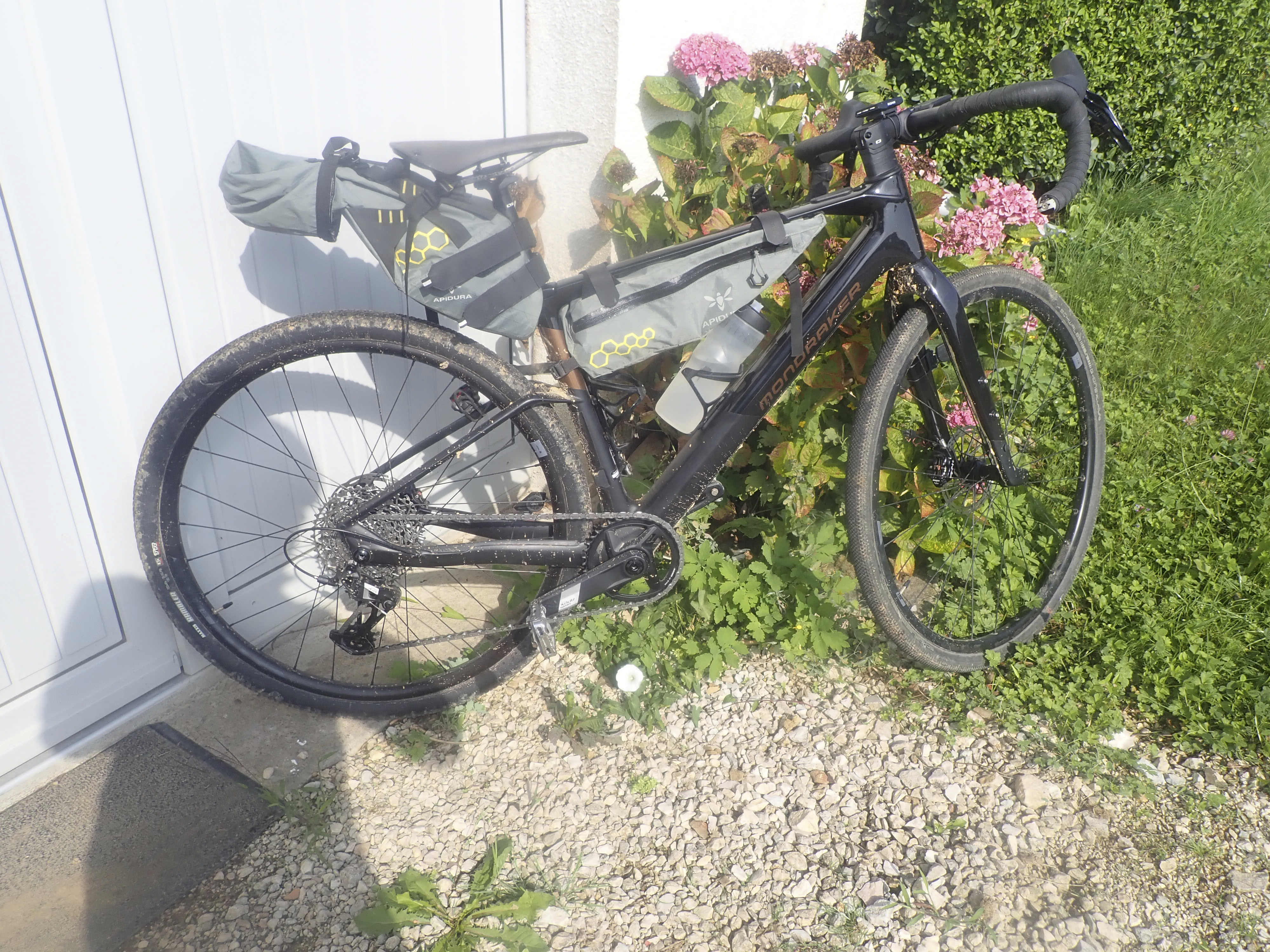 Pour aller en courses....jpg