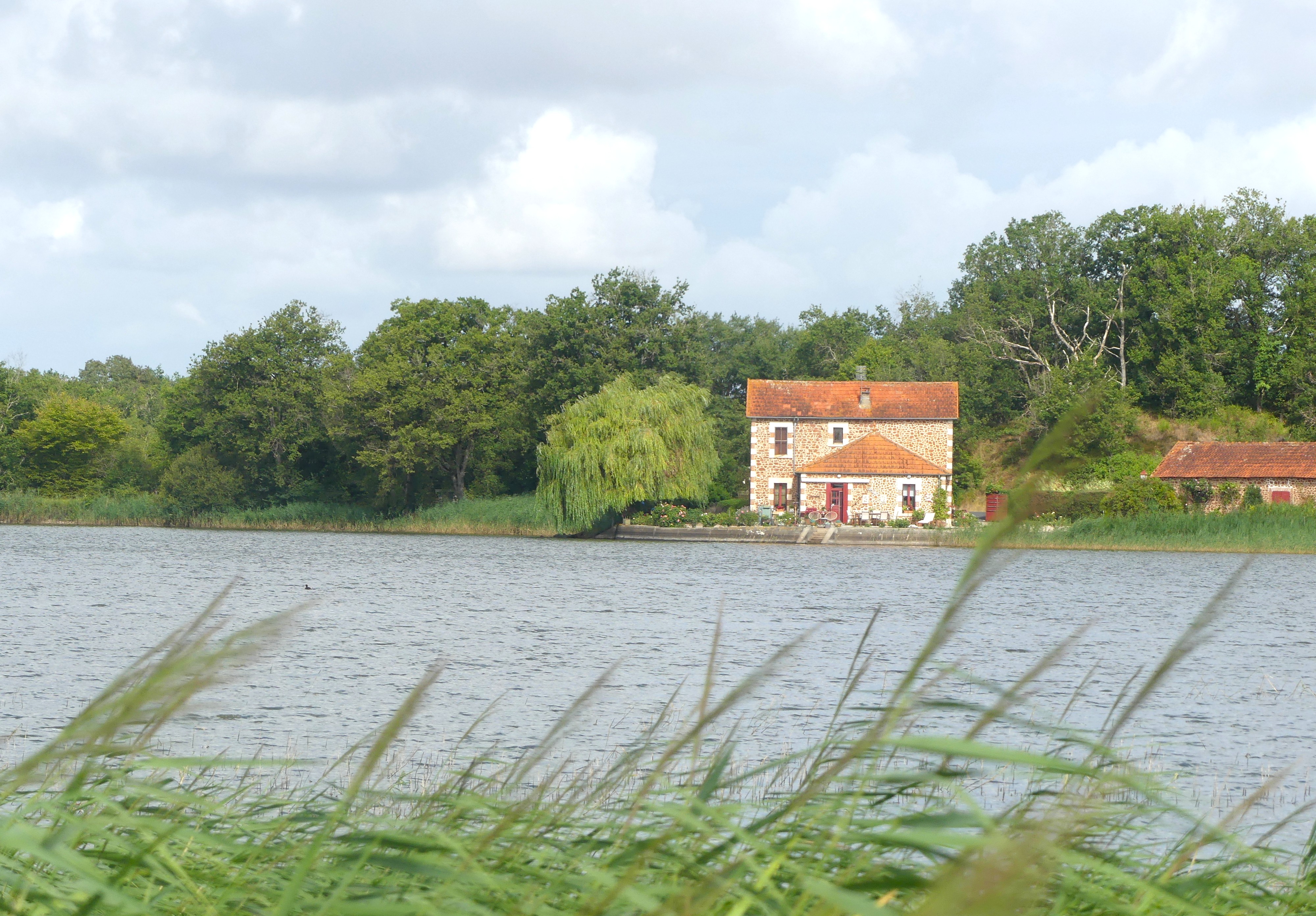 P1020643.JPG