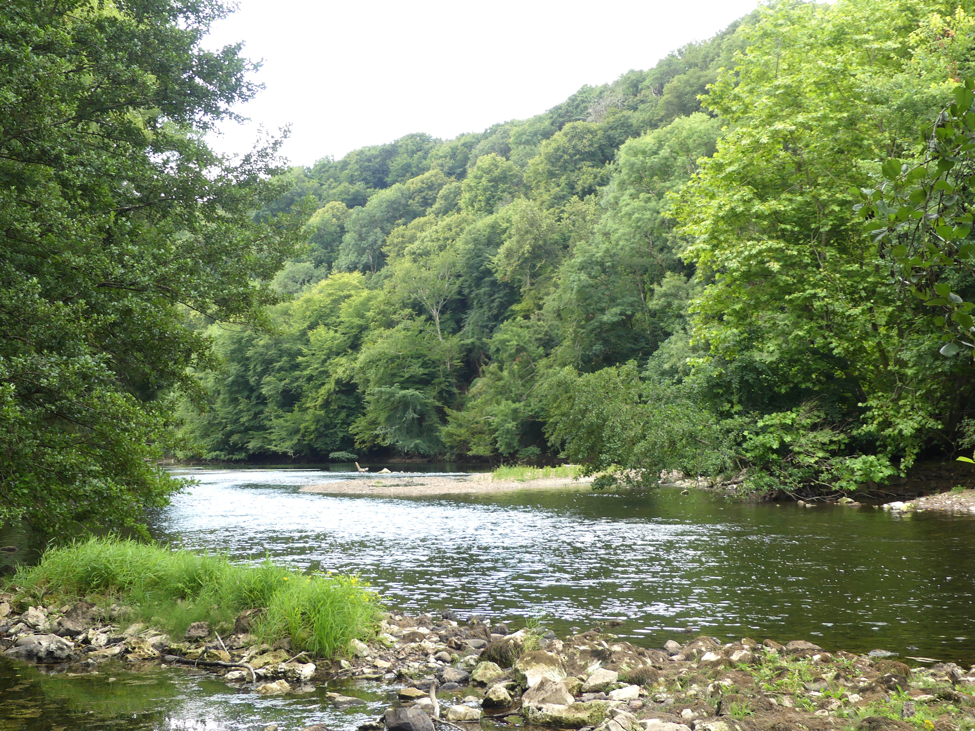 P1020720.JPG