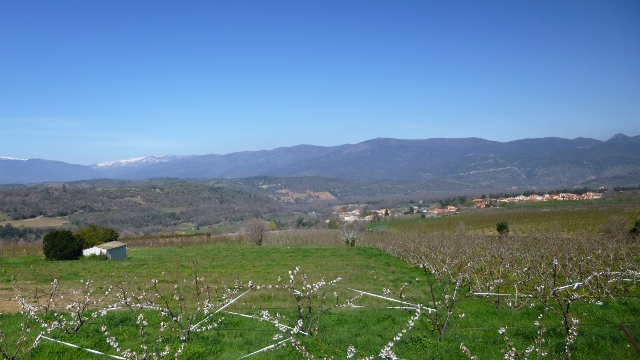 La plaine