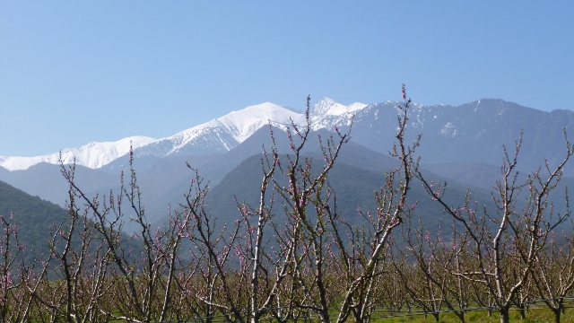 Canigou