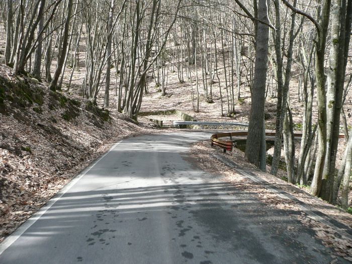 descente de rêve le col !