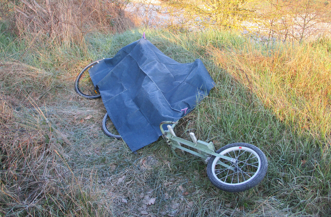 48.JPG