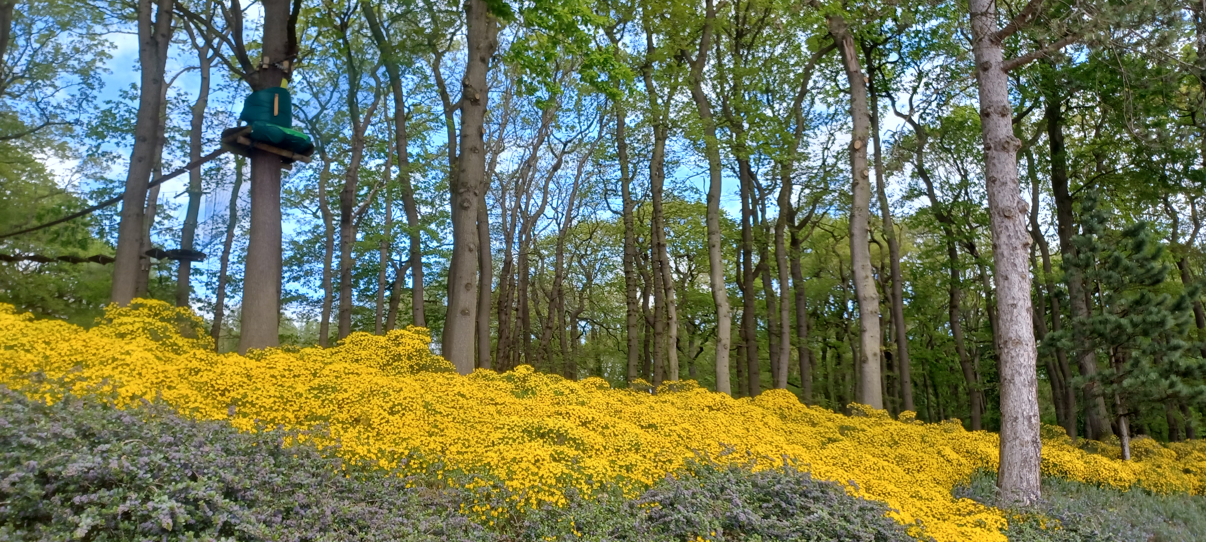 20260418_122243.jpg