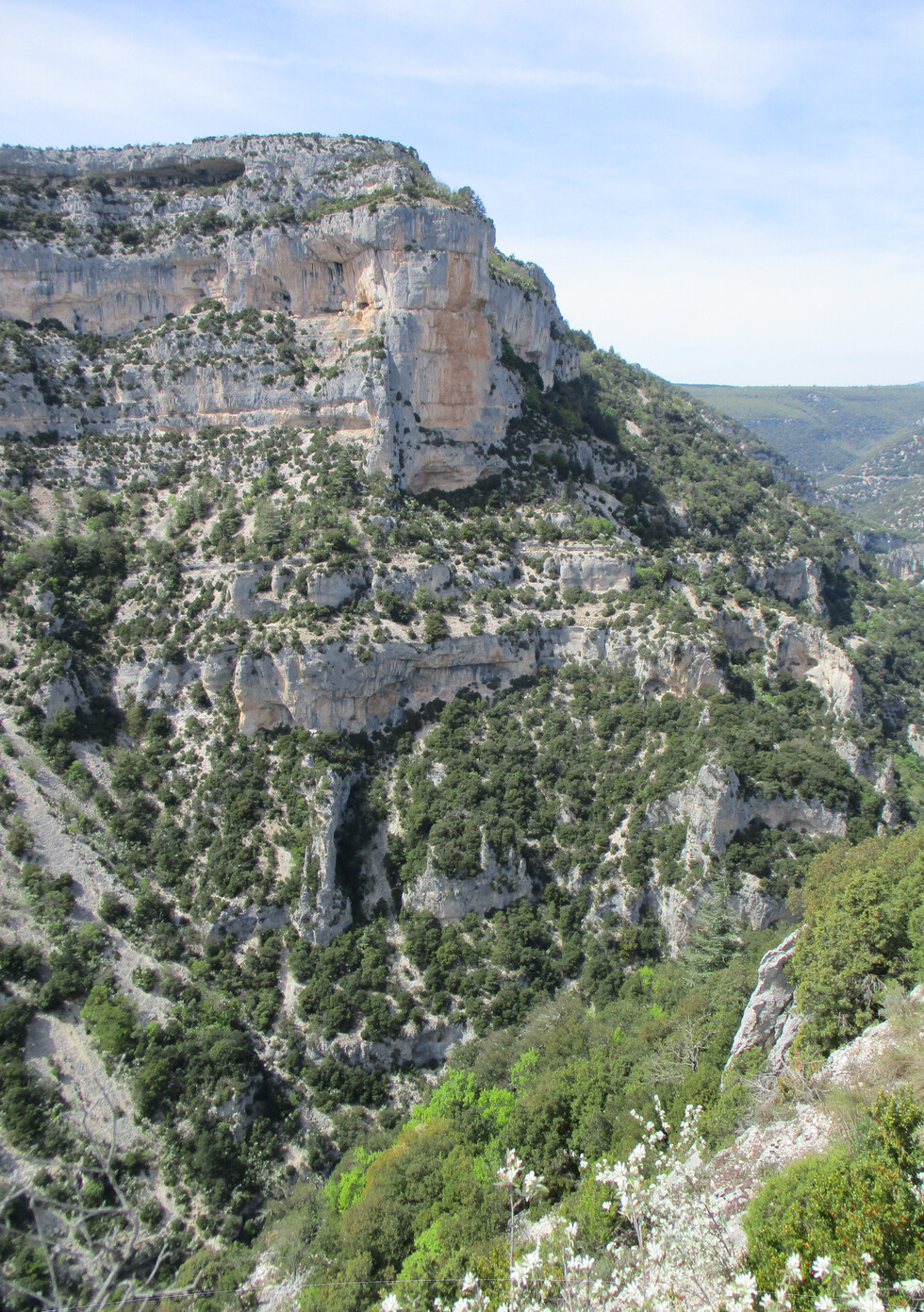 Gorges de la Nesque. Le rocher du Cire.