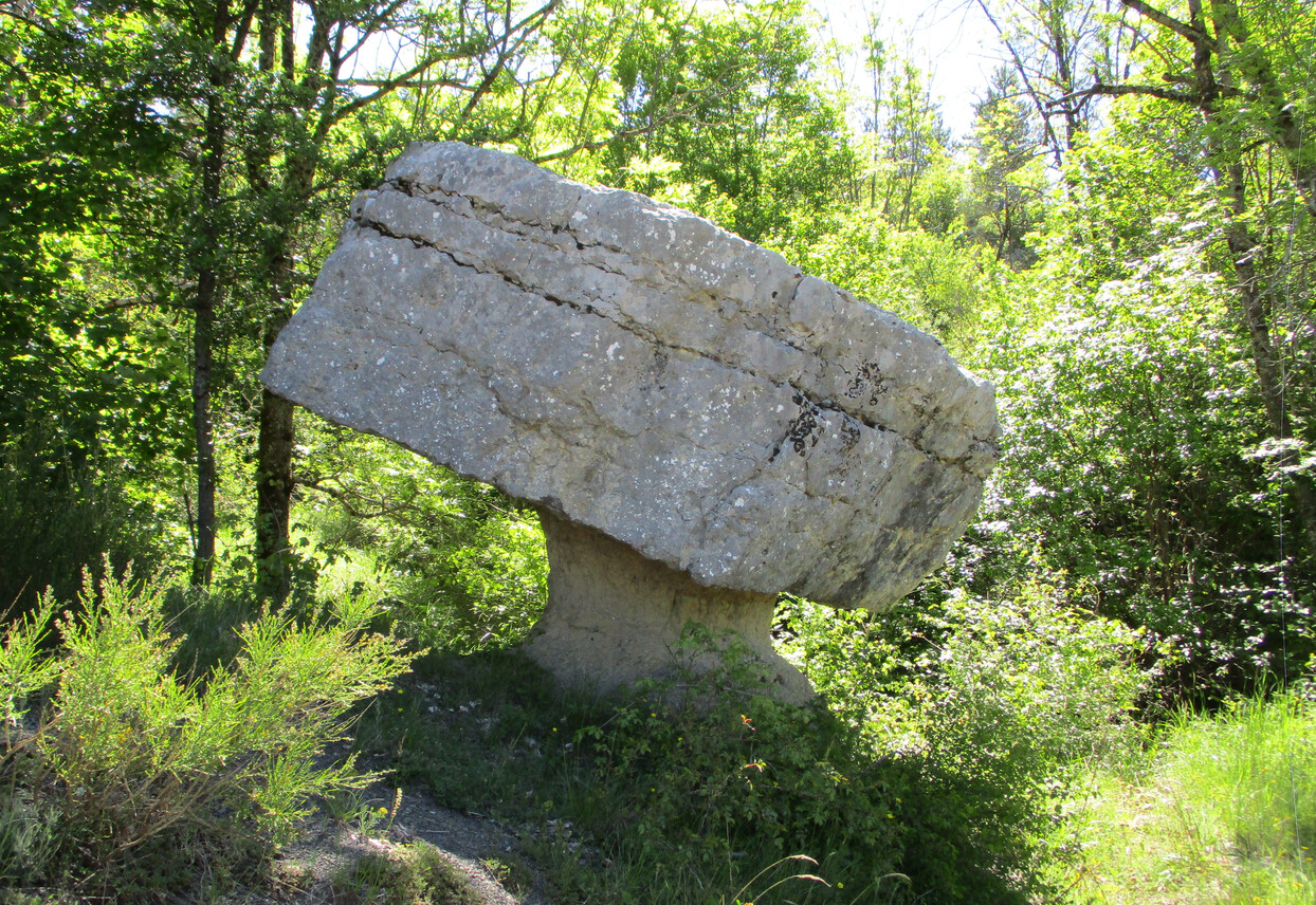 6.JPG
