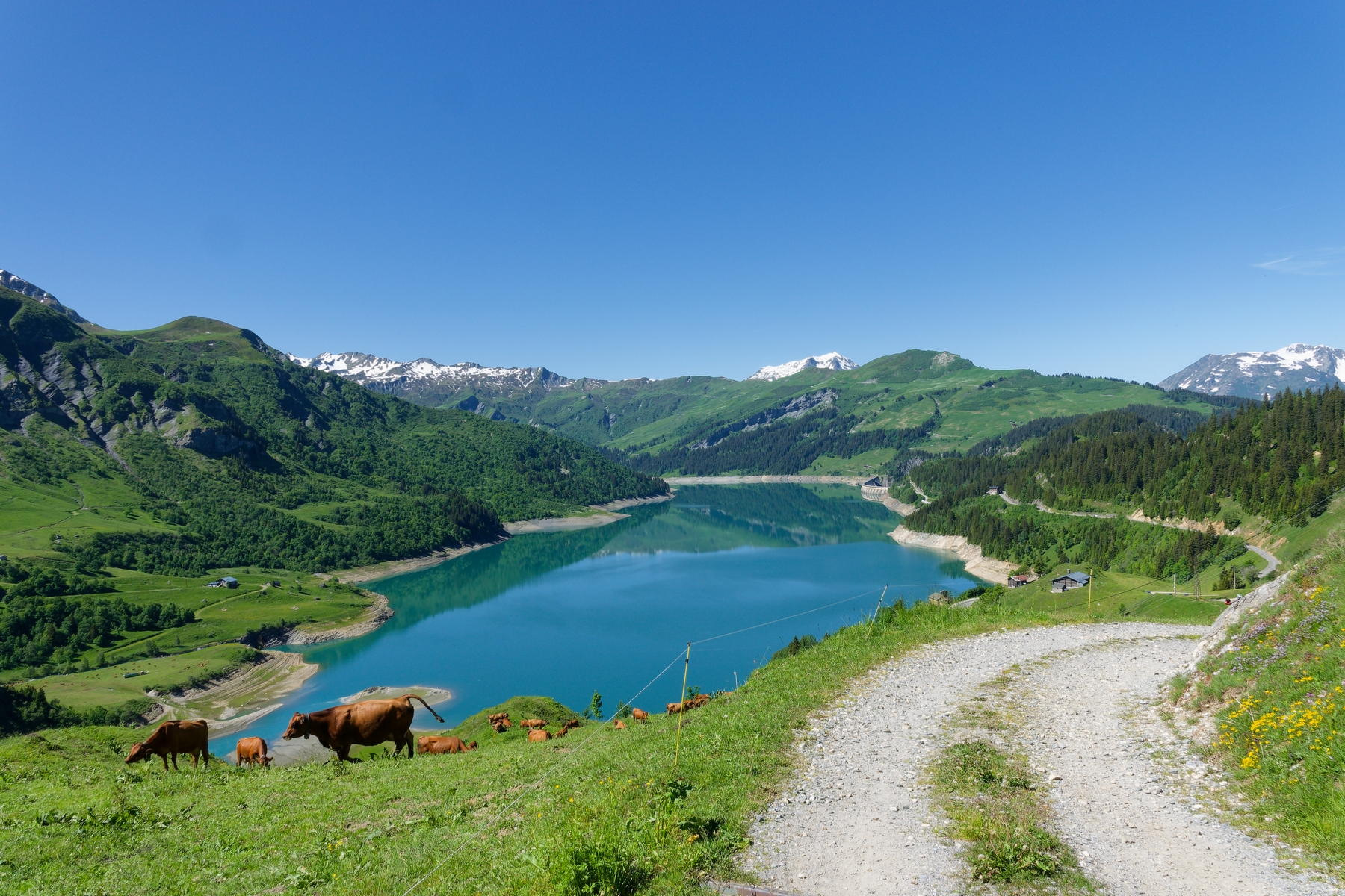 col de sur frêtes - 73-1792 (4) vue sur le lac de Roselend.jpg
