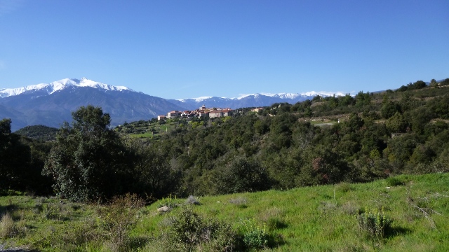 Arboussol